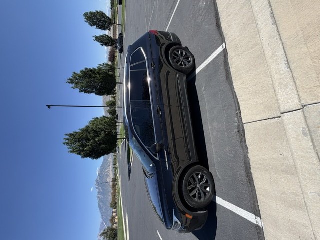 Used 2024 Volkswagen Tiguan SE AWD/4WD image 14