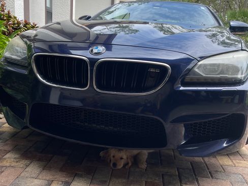 Used 2014 BMW M6 Convertible image 9