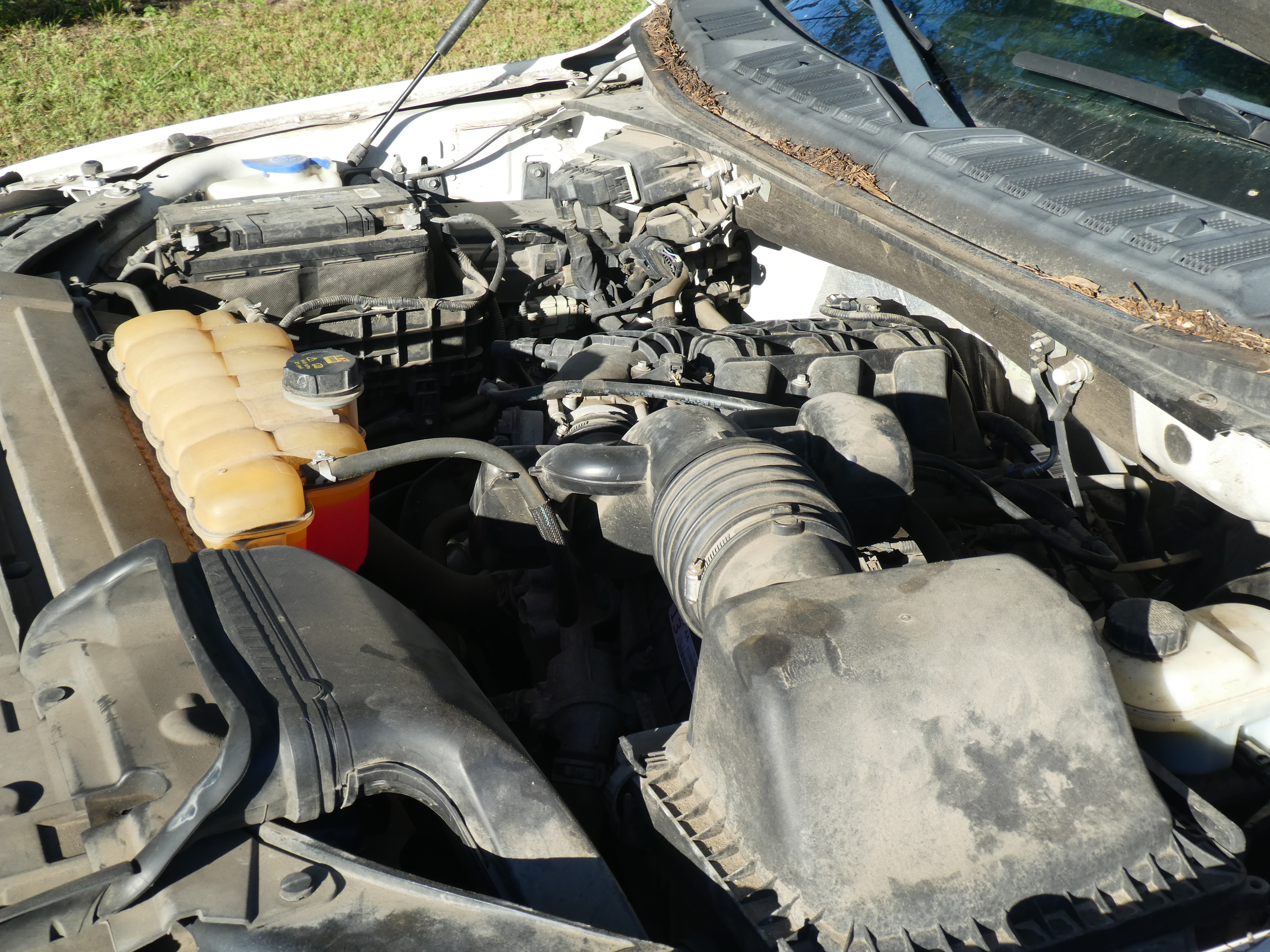 Used 2016 Ford F150 XL RWD image 16