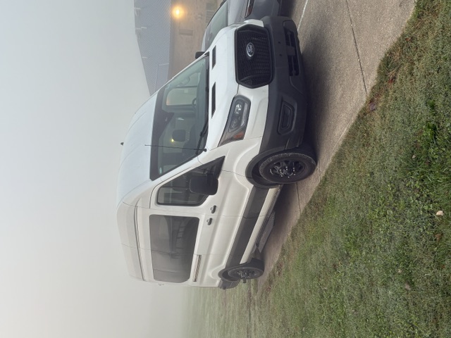 Used 2024 Ford Transit 350 XL AWD/4WD image 4