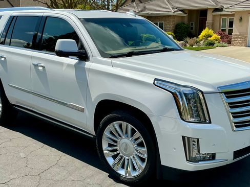 Used 2019 Cadillac Escalade Platinum image 5
