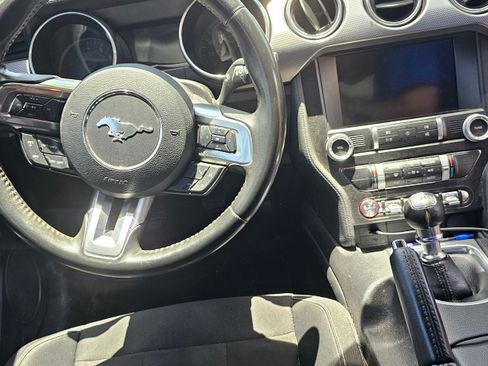 Used 2019 Ford Mustang GT w/ Equipment Group 301A image 9