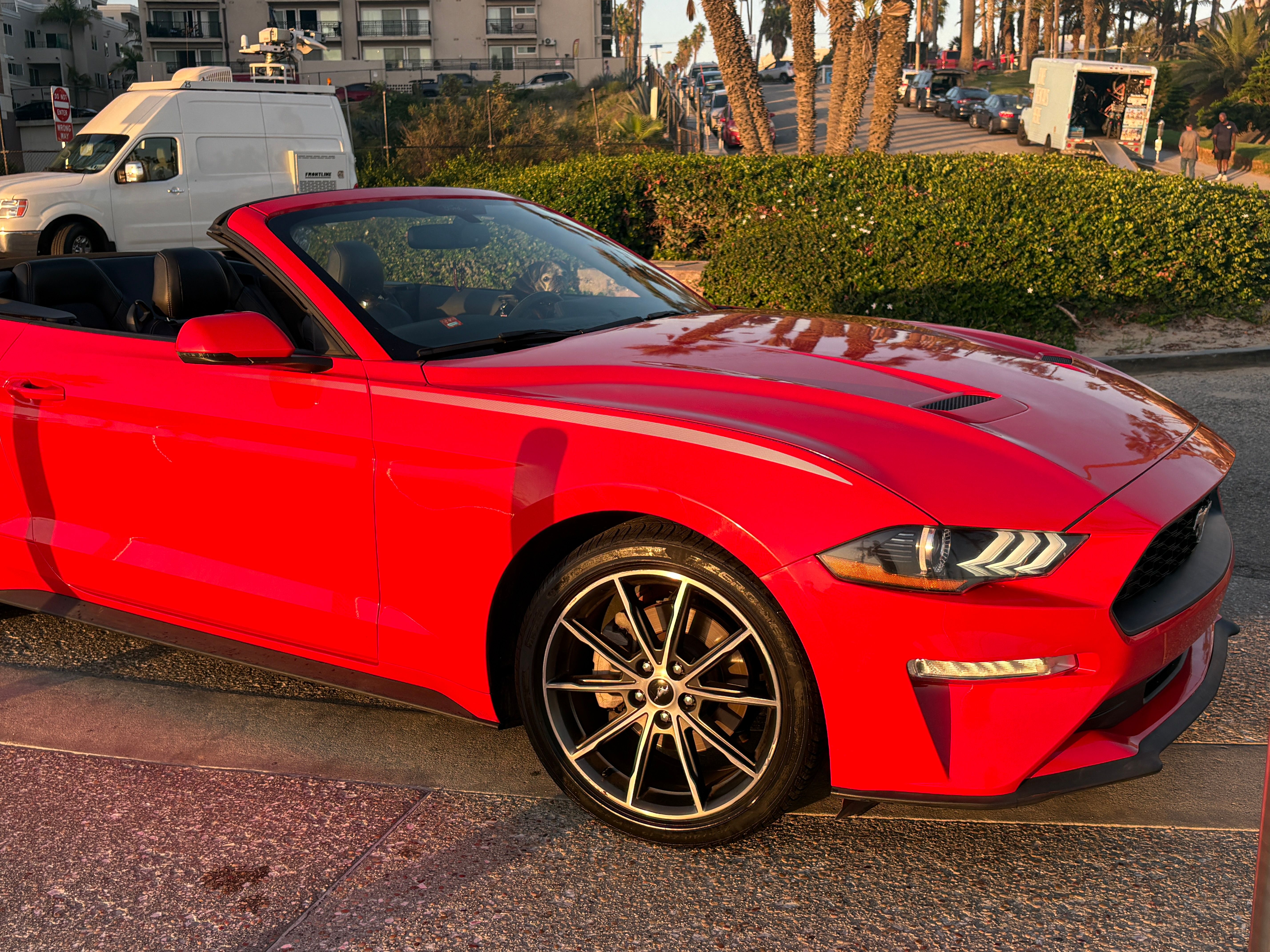 Used 2018 Ford Mustang Premium w/ Equipment Group 201A RWD image 2