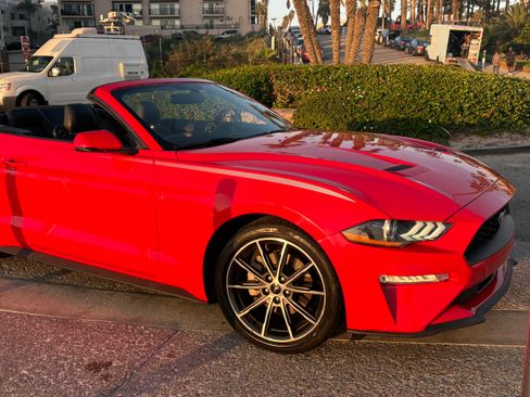 Used 2018 Ford Mustang Premium w/ Equipment Group 201A RWD image 2