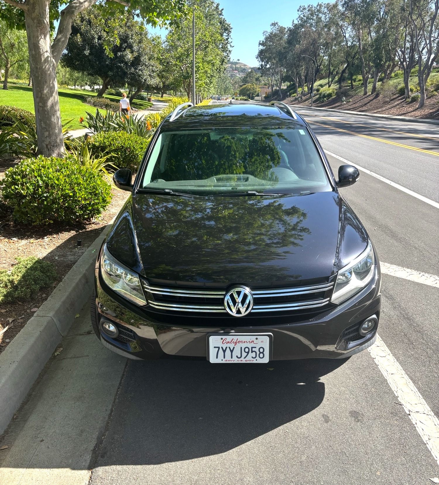 Used 2014 Volkswagen Tiguan SEL FWD image 2
