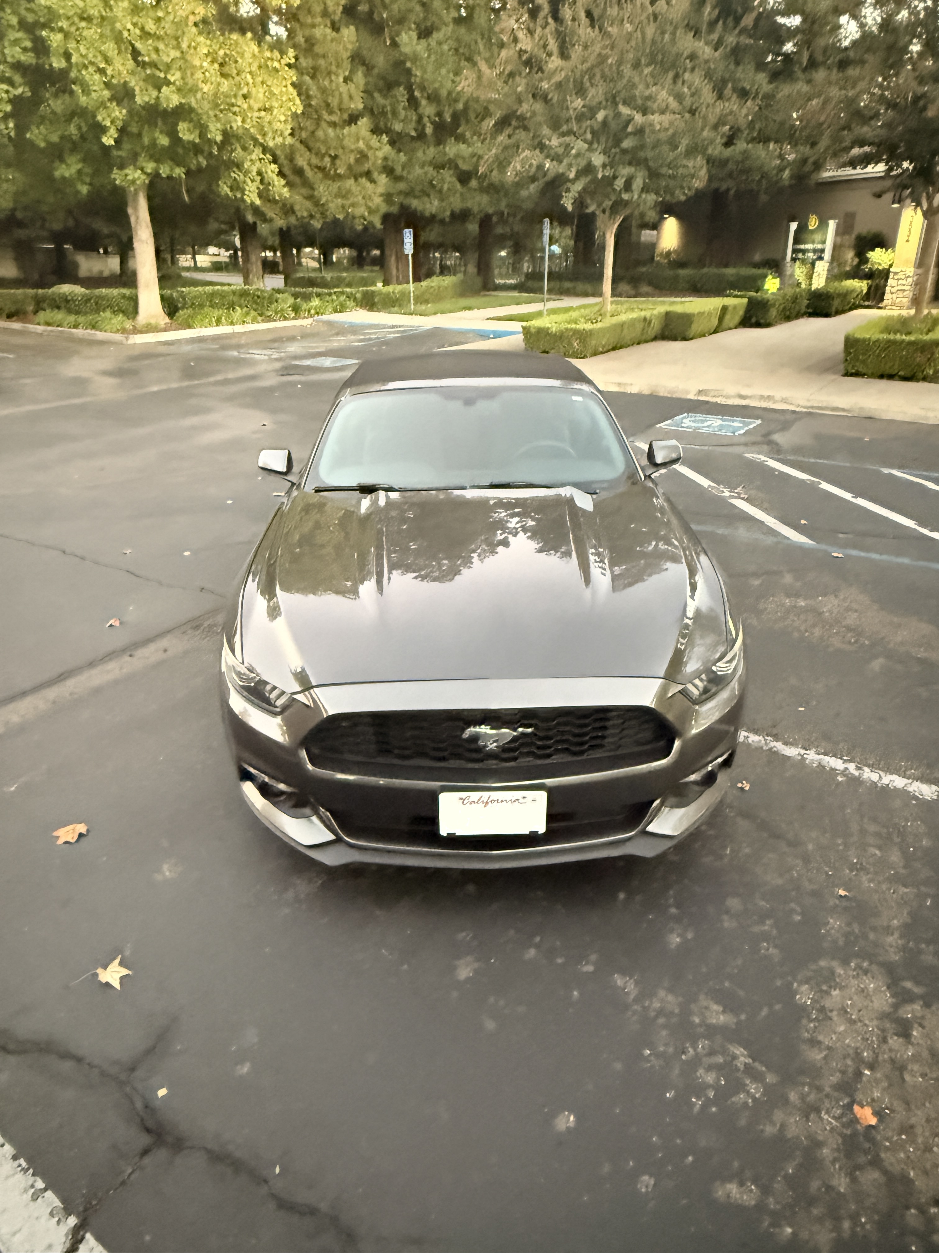 Used 2015 Ford Mustang Convertible w/ Equipment Group 051A RWD image 1