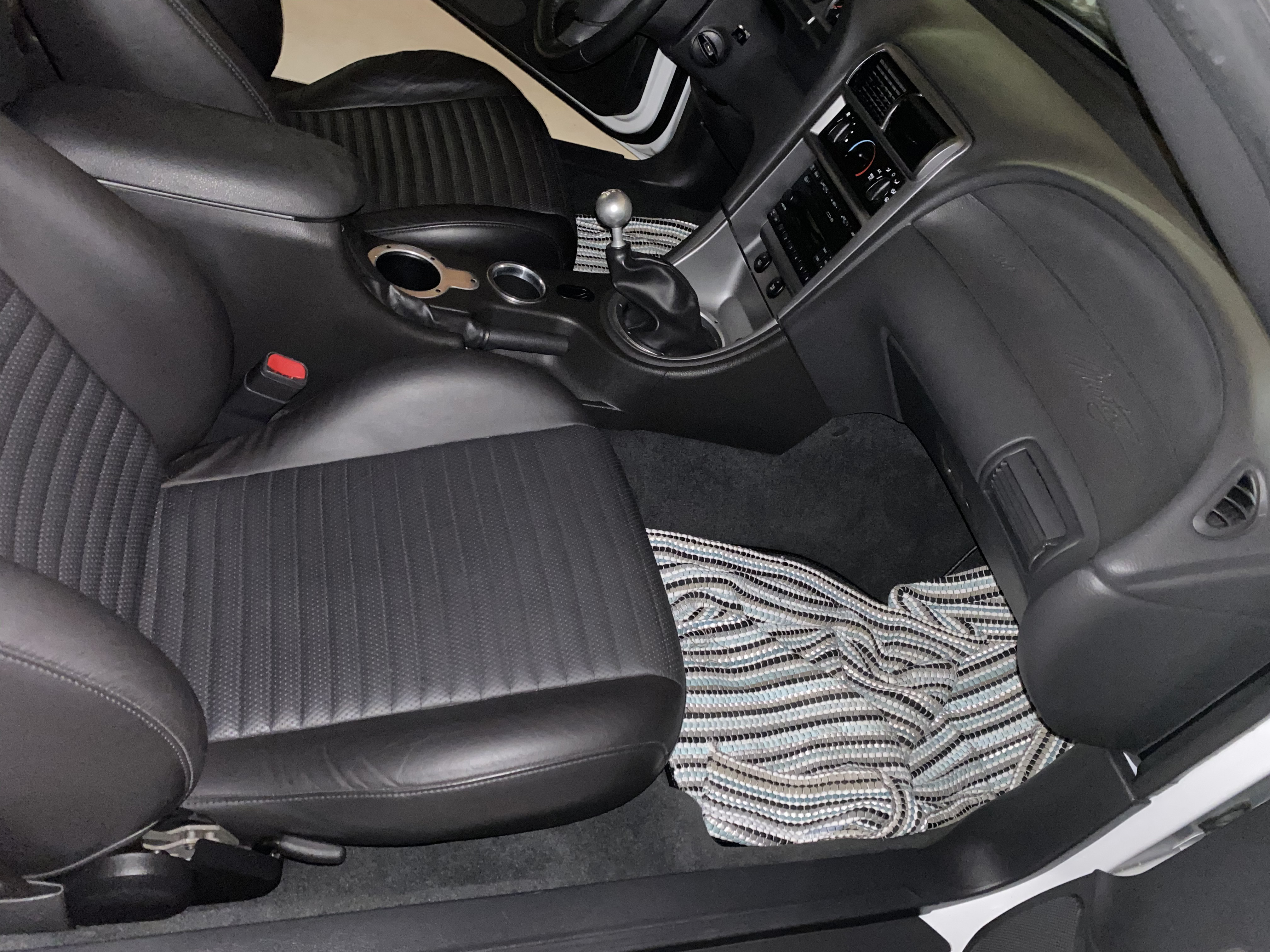 Used 2004 Ford Mustang Mach 1 RWD image 10
