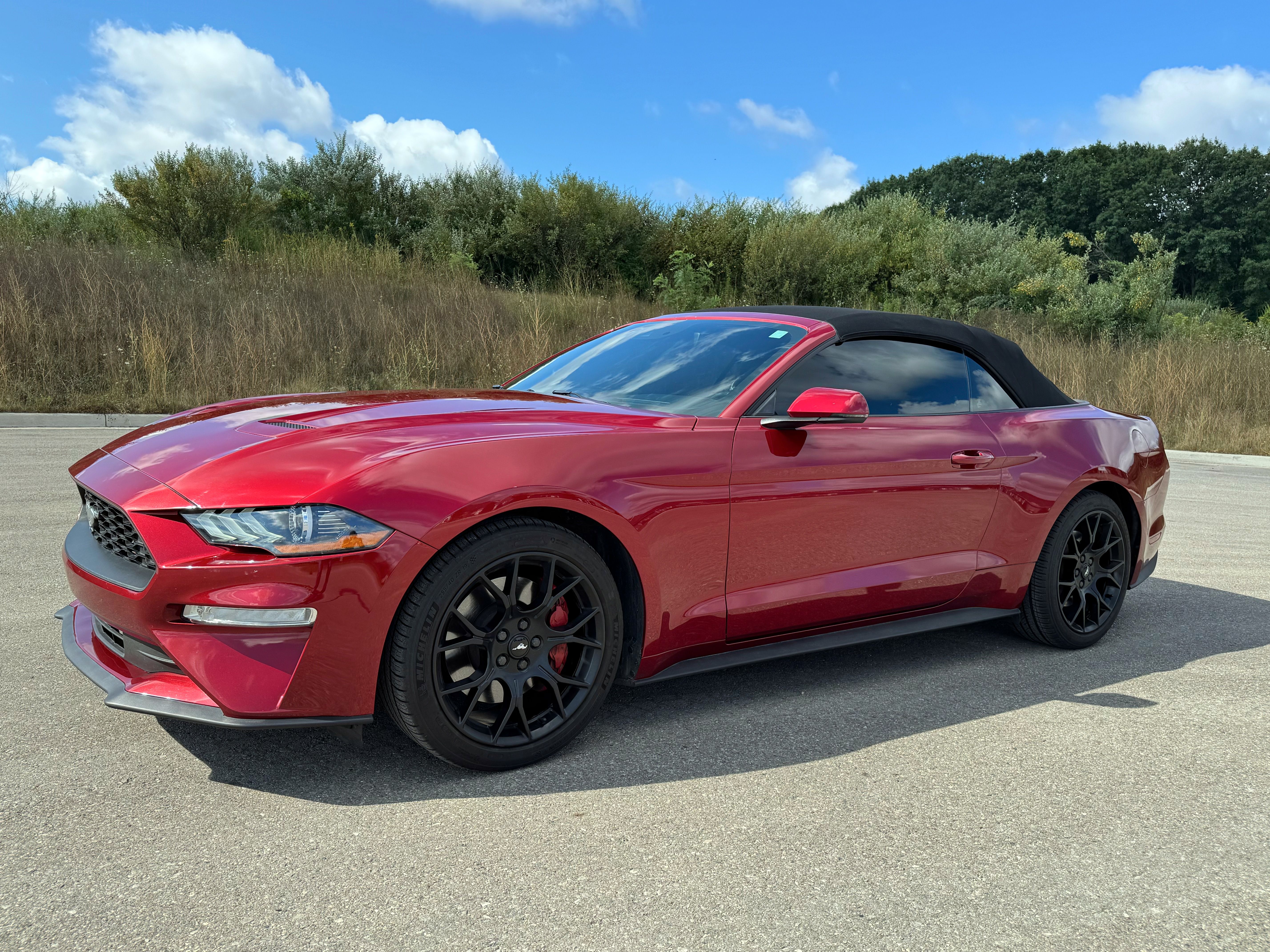 Used 2018 Ford Mustang Premium w/ Ecoboost Performance Package RWD image 8