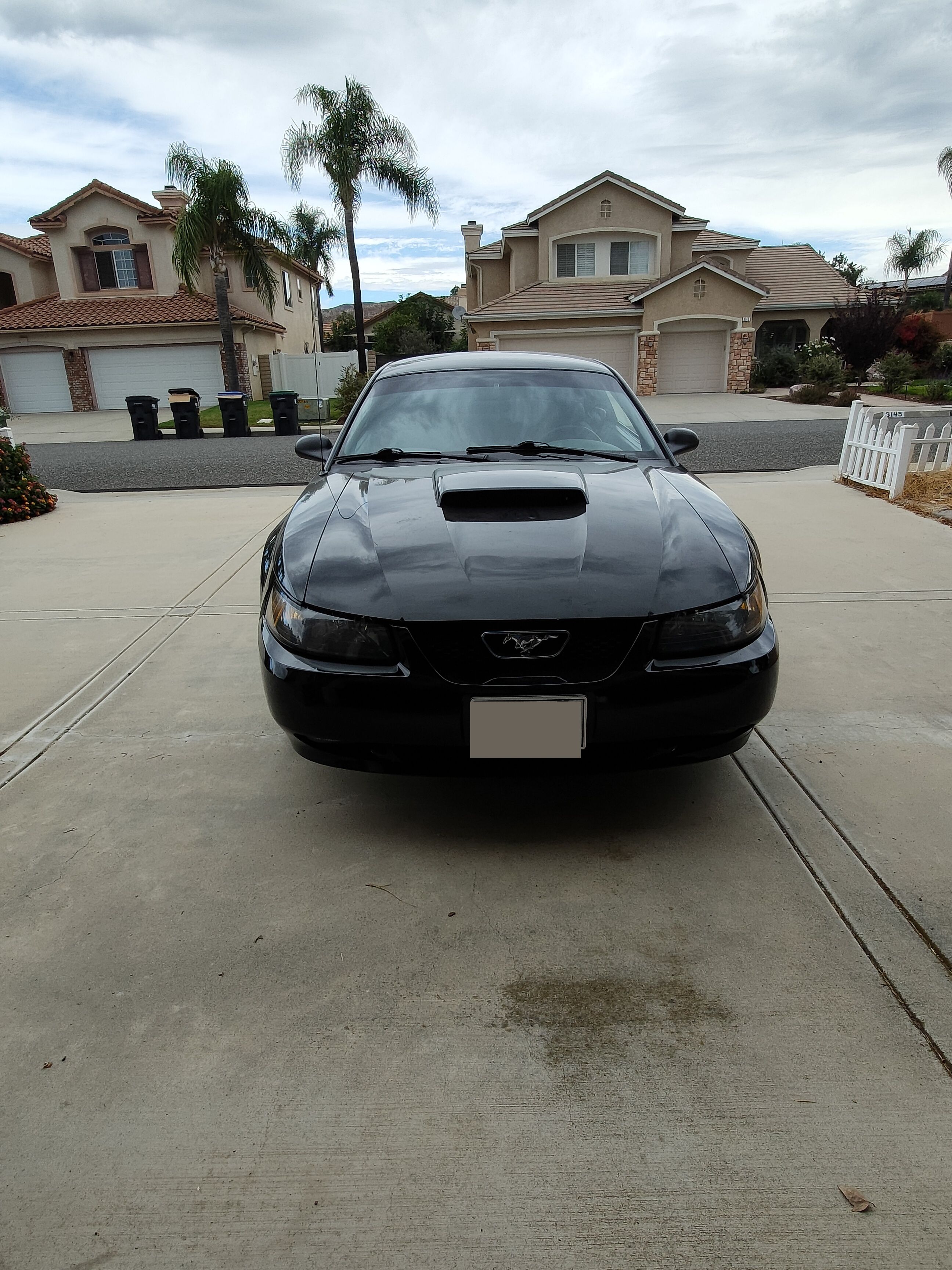 Used 2002 Ford Mustang GT Premium RWD image 4