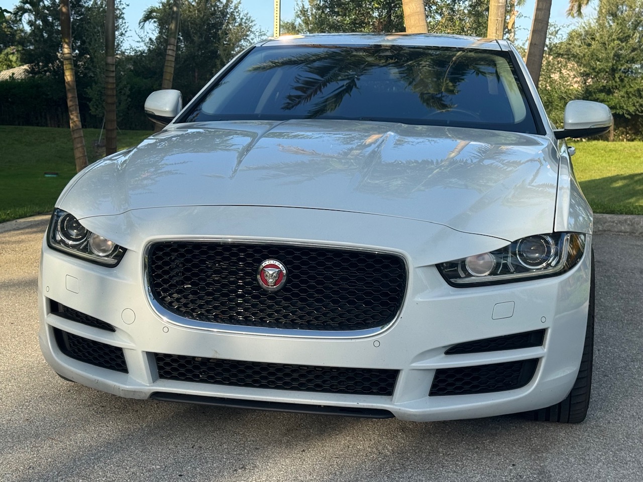 Used 2017 Jaguar XE First Edition RWD image 6