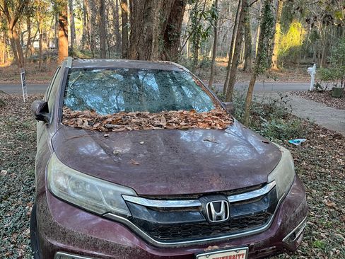 Used 2015 Honda CR-V EX-L image 1