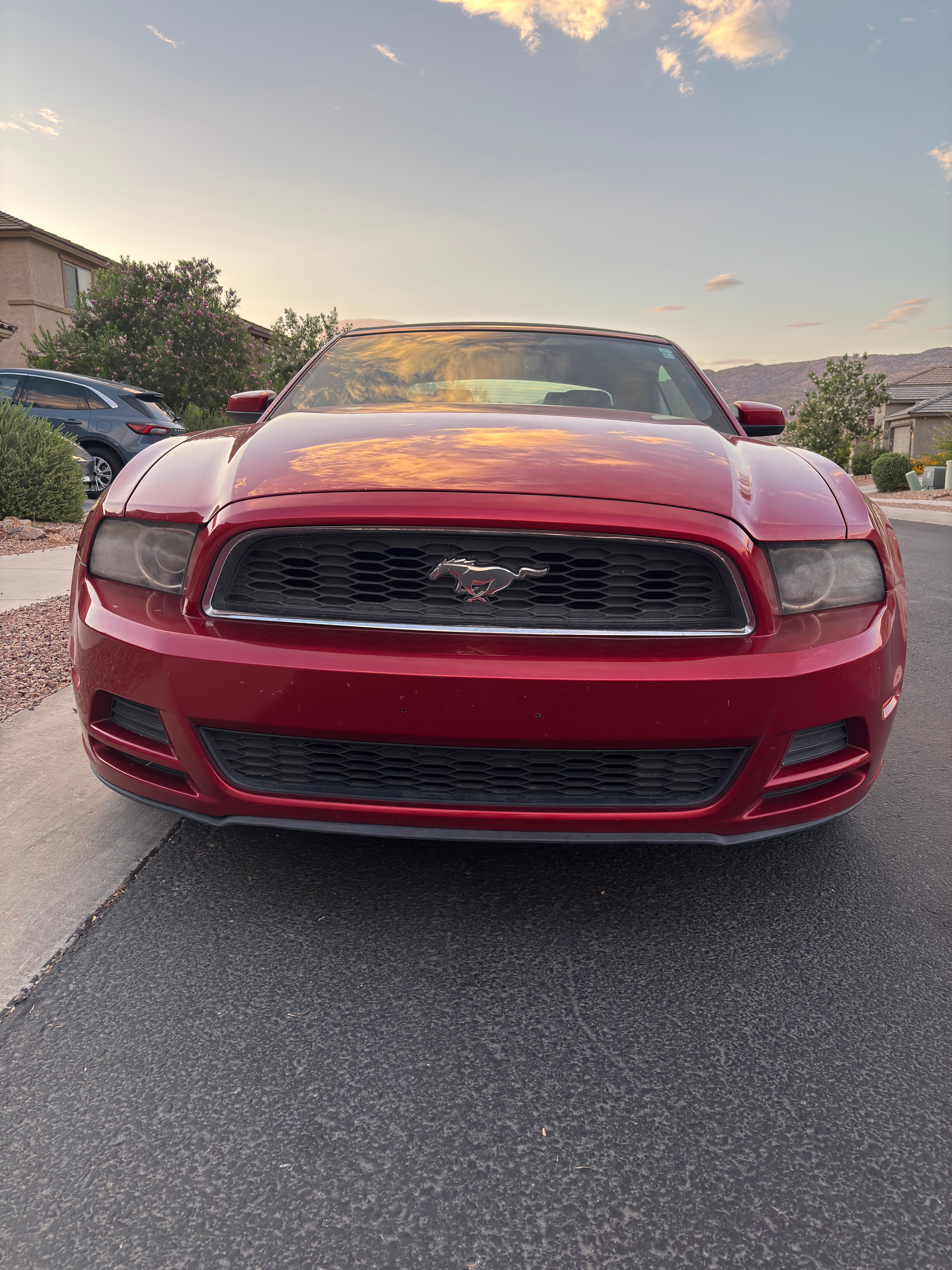 Used 2013 Ford Mustang Premium RWD image 10