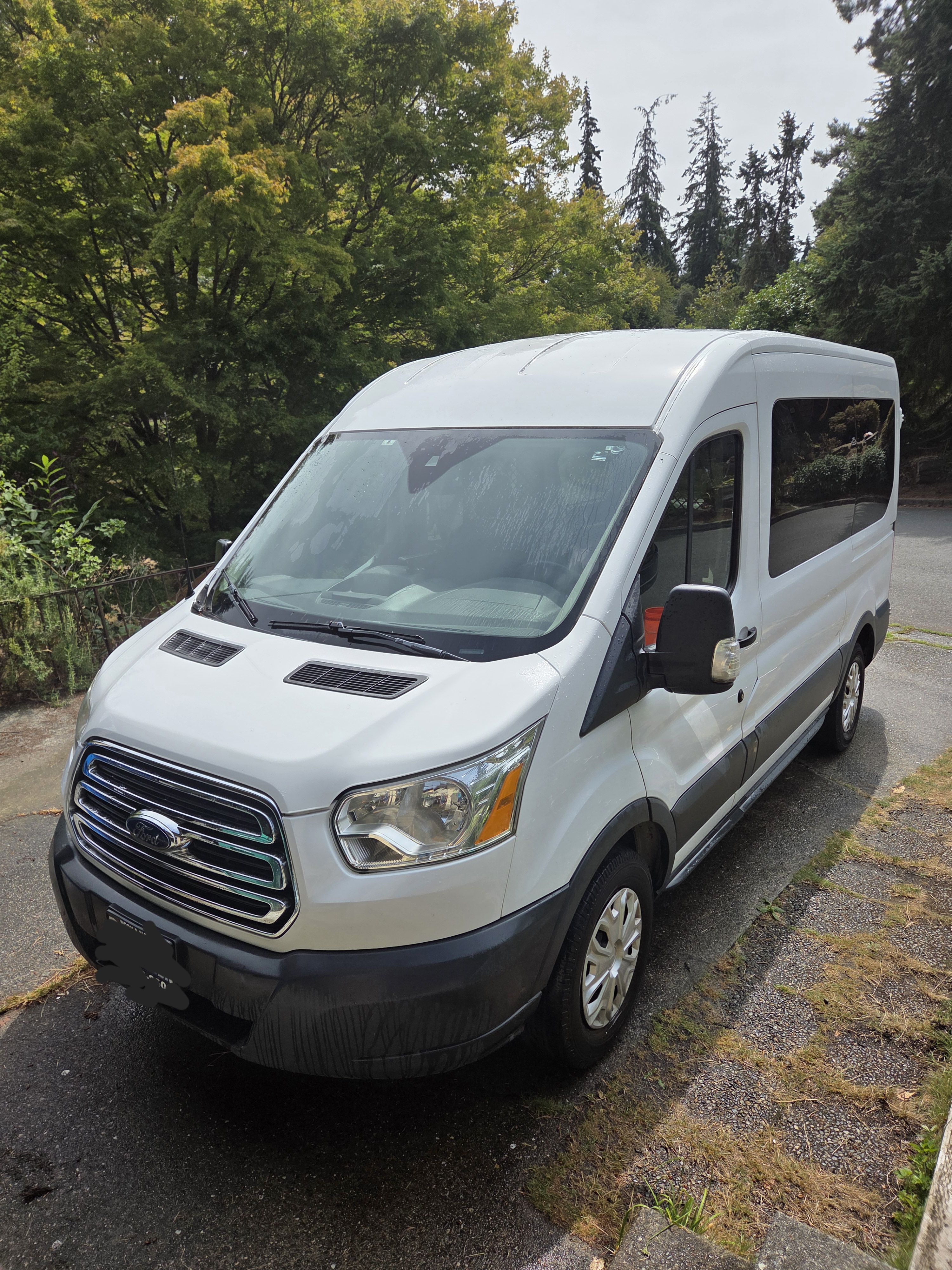 Used 2015 Ford Transit 150 XLT RWD image 1