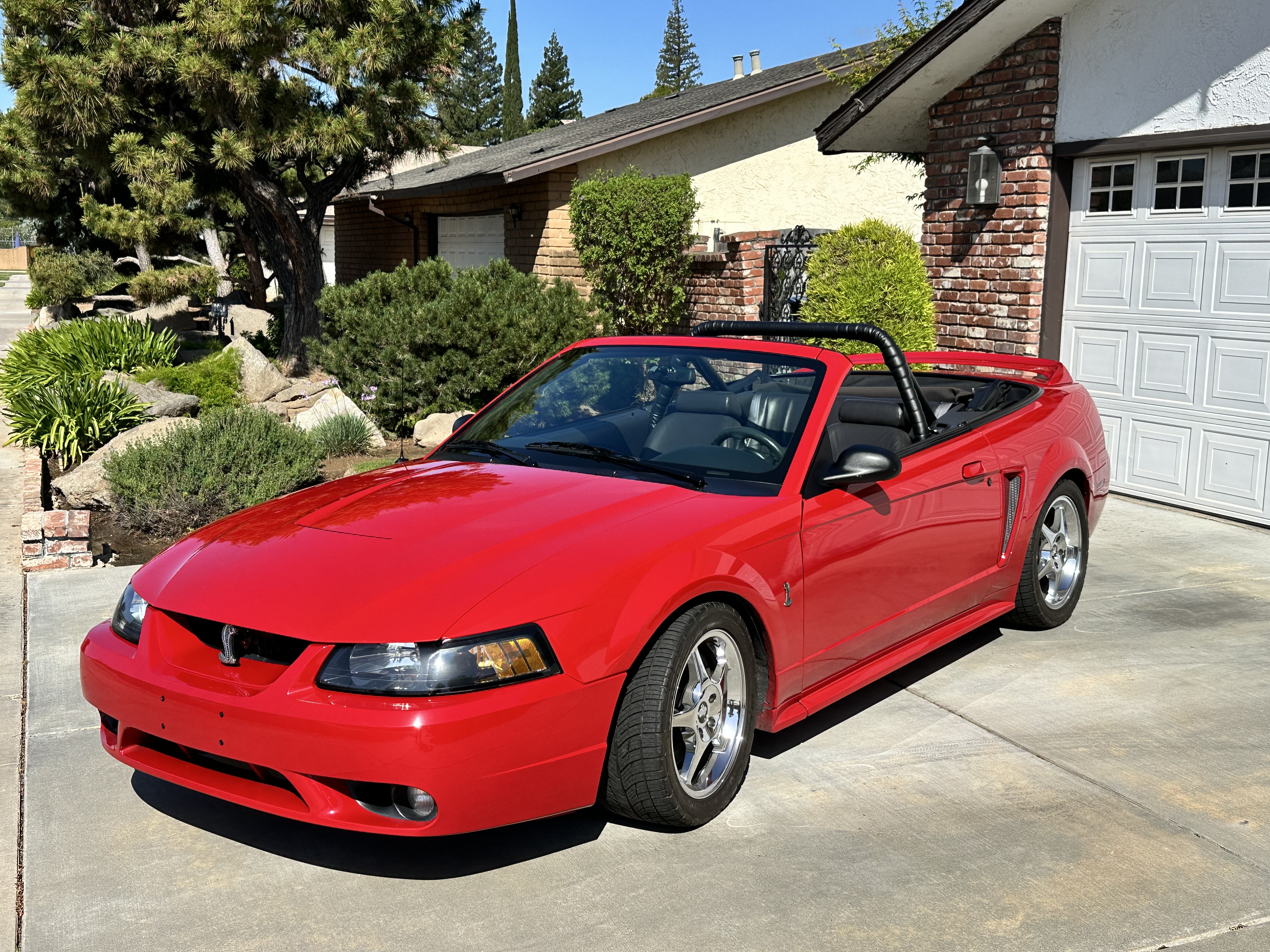 Used 1999 Ford Mustang Cobra RWD image 10