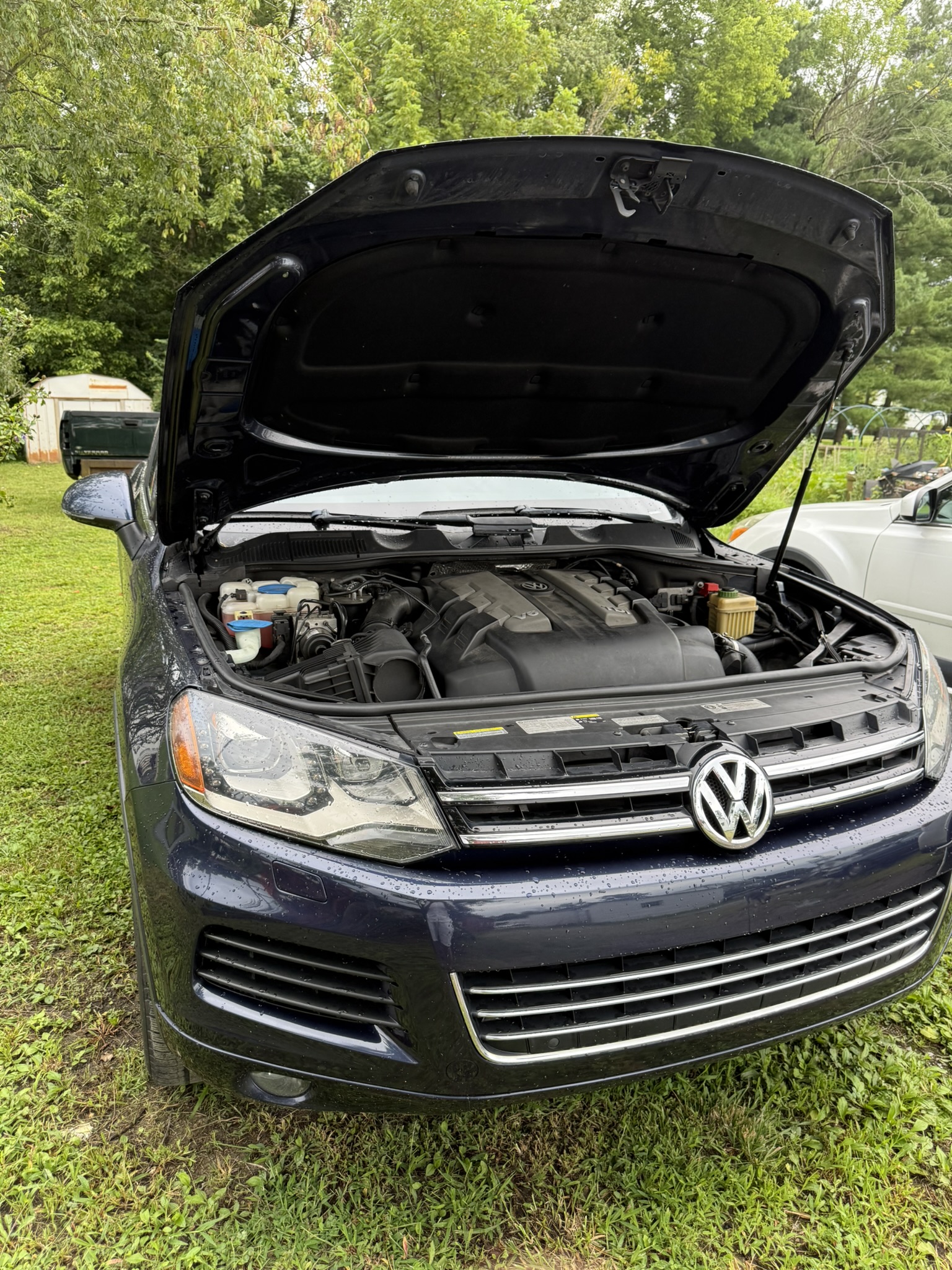 Used 2014 Volkswagen Touareg Executive AWD/4WD image 13