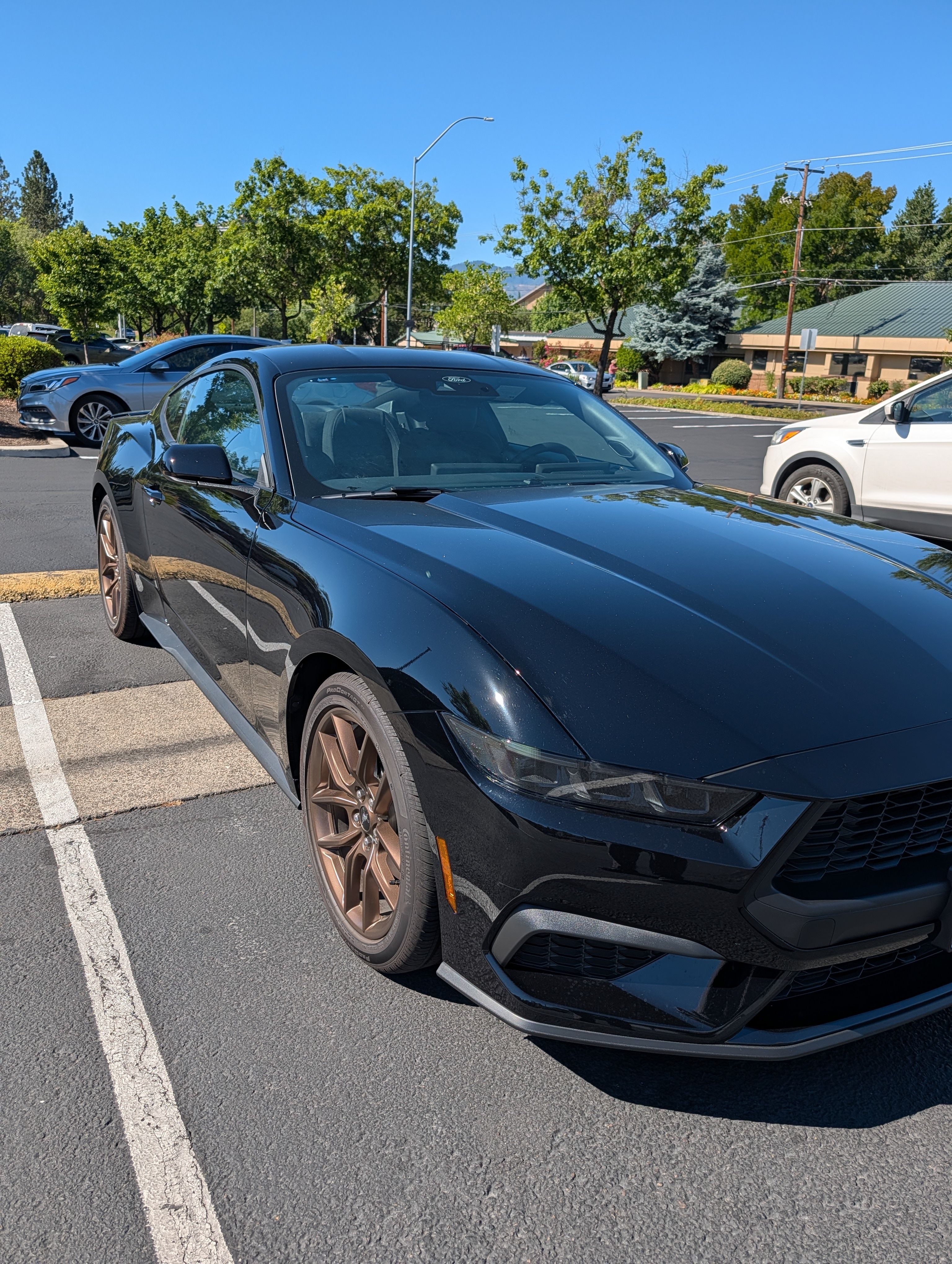 Used 2026 Ford Mustang Coupe w/ Bronze Appearance Package RWD image 2
