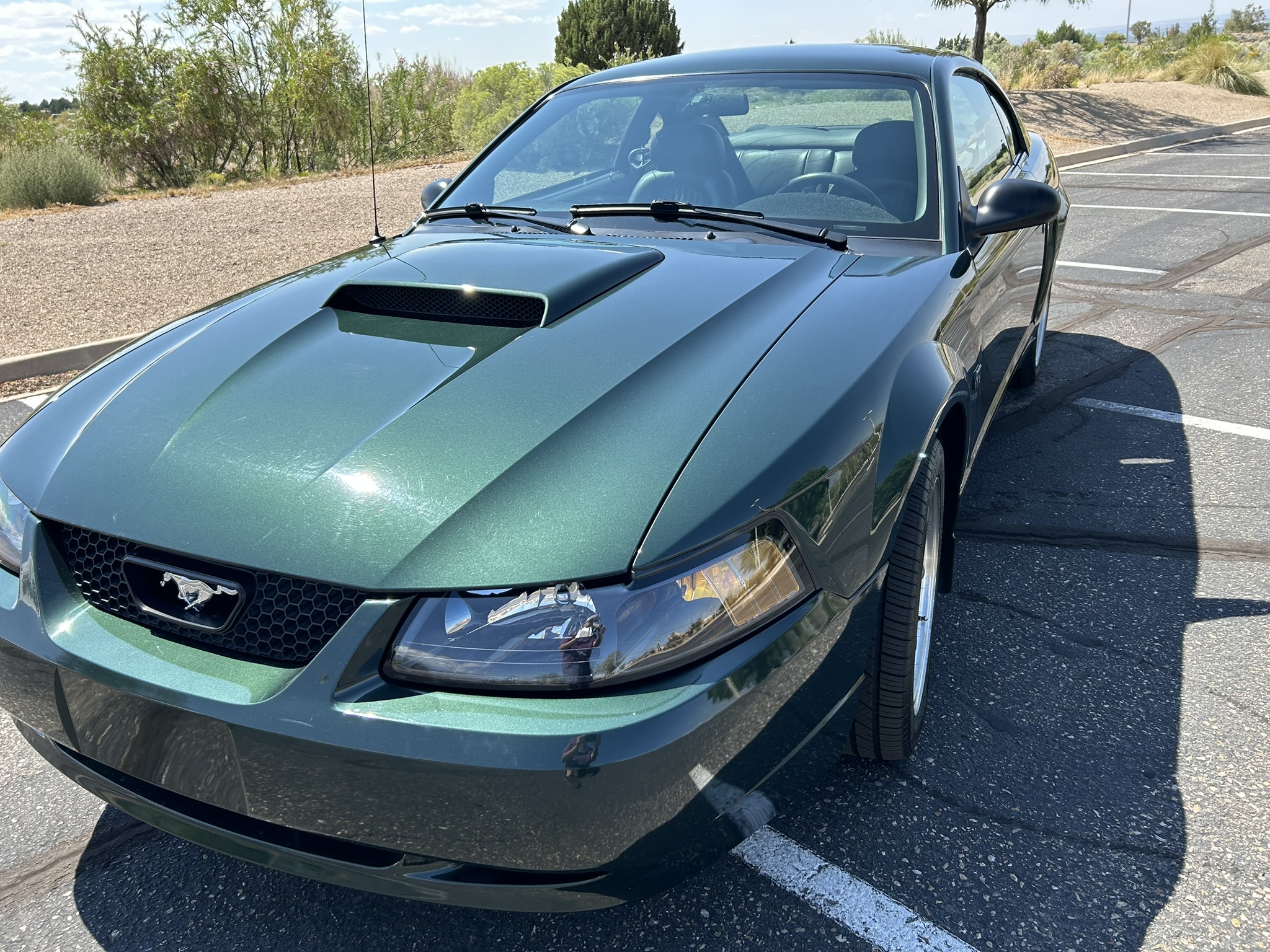 Used 2001 Ford Mustang GT RWD image 5