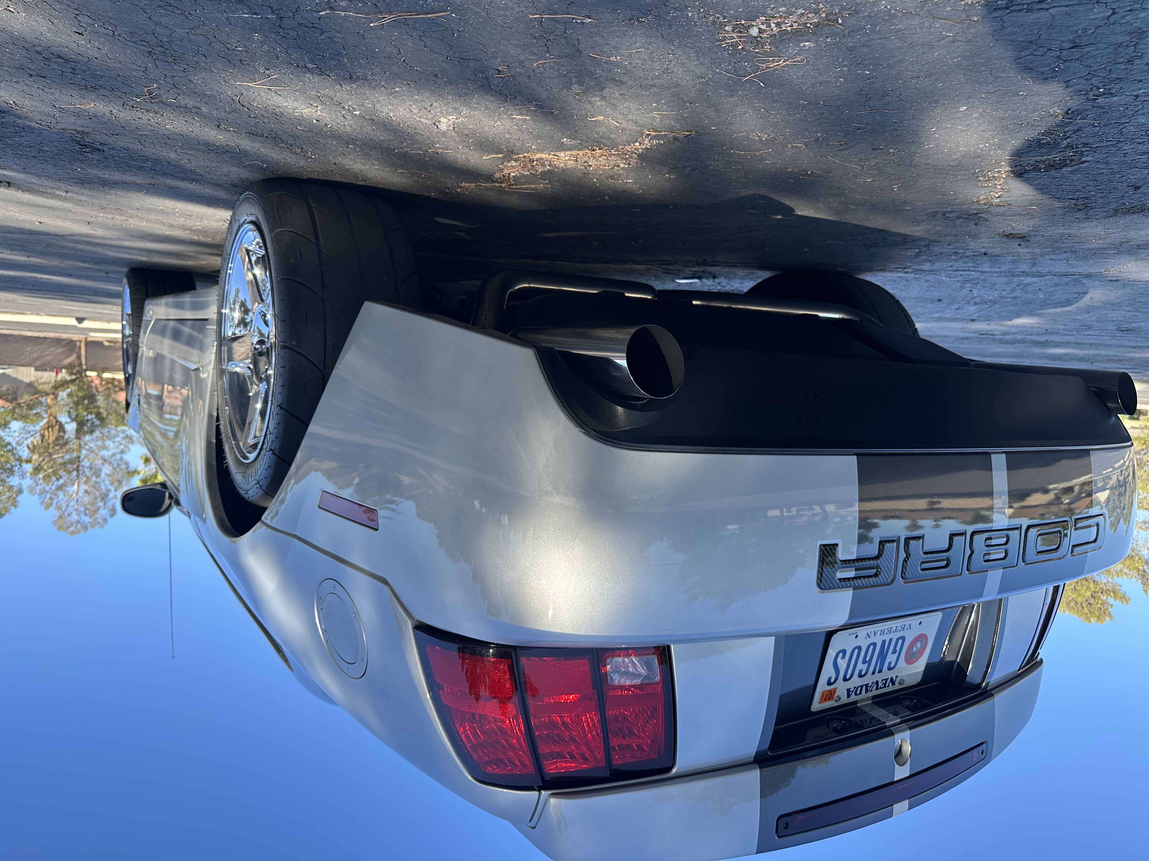 Used 2004 Ford Mustang Cobra RWD image 4