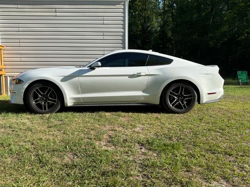 Used 2023 Ford Mustang Premium RWD image 1