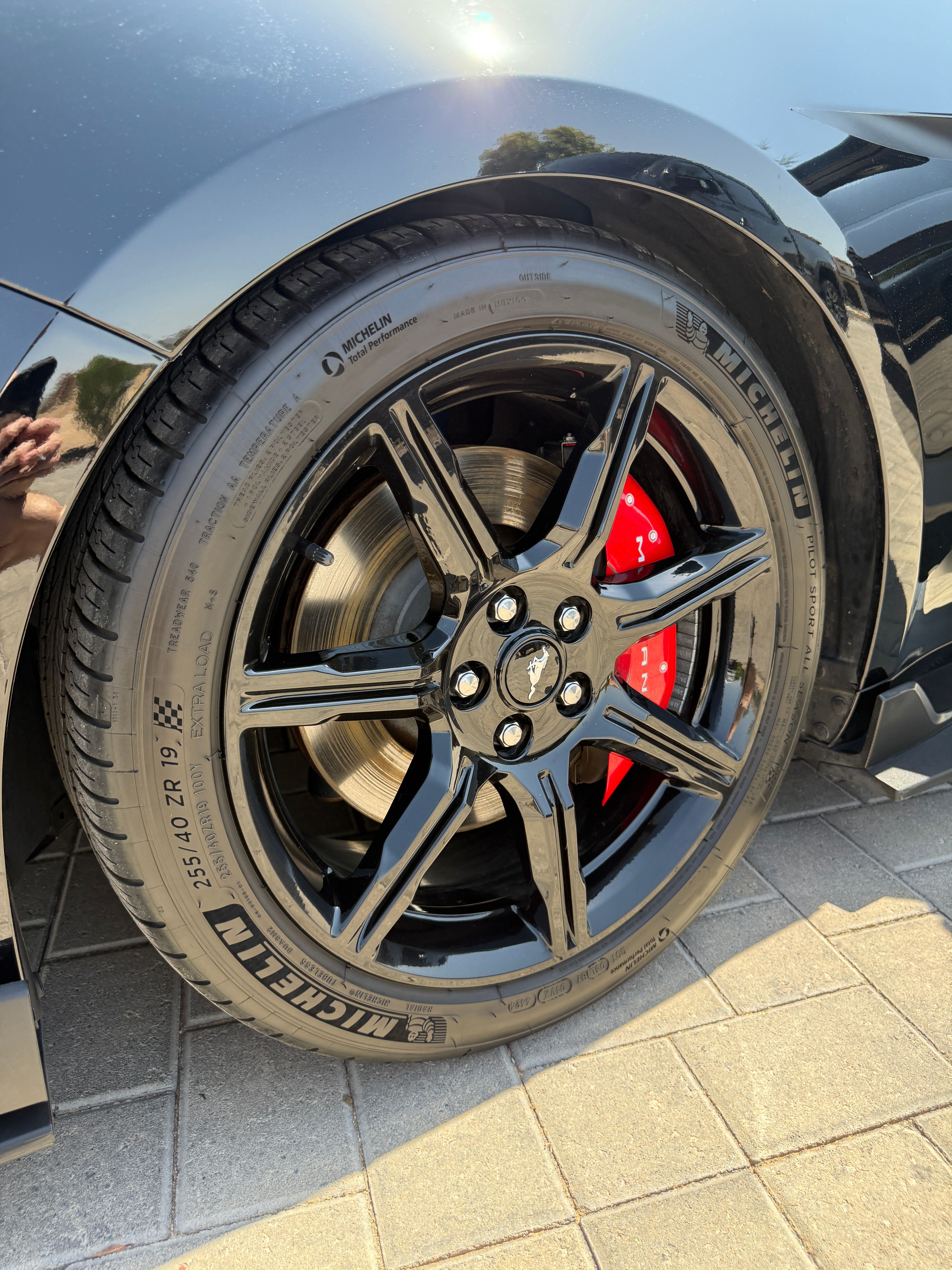 Used 2019 Ford Mustang GT Premium w/ Equipment Group 401A RWD image 8