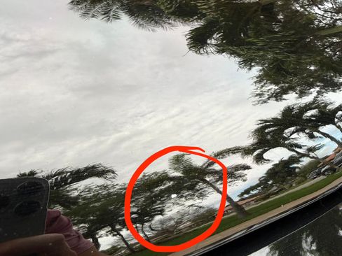 Used 2000 Pontiac Firebird Formula image 28