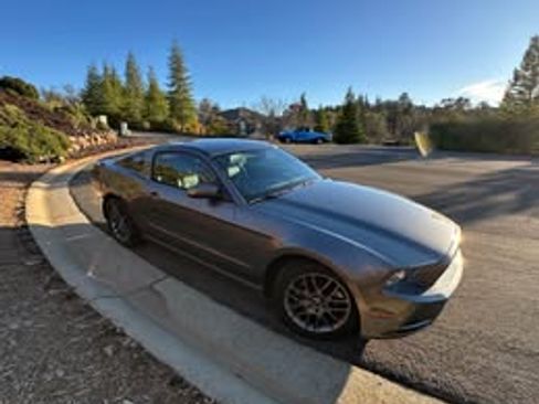 Used 2014 Ford Mustang Premium w/ Equipment Group 203A image 10