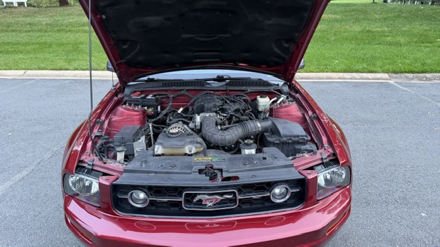 Used 2007 Ford Mustang Premium RWD image 16
