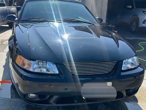 Used 2001 Ford Mustang Cobra image 5