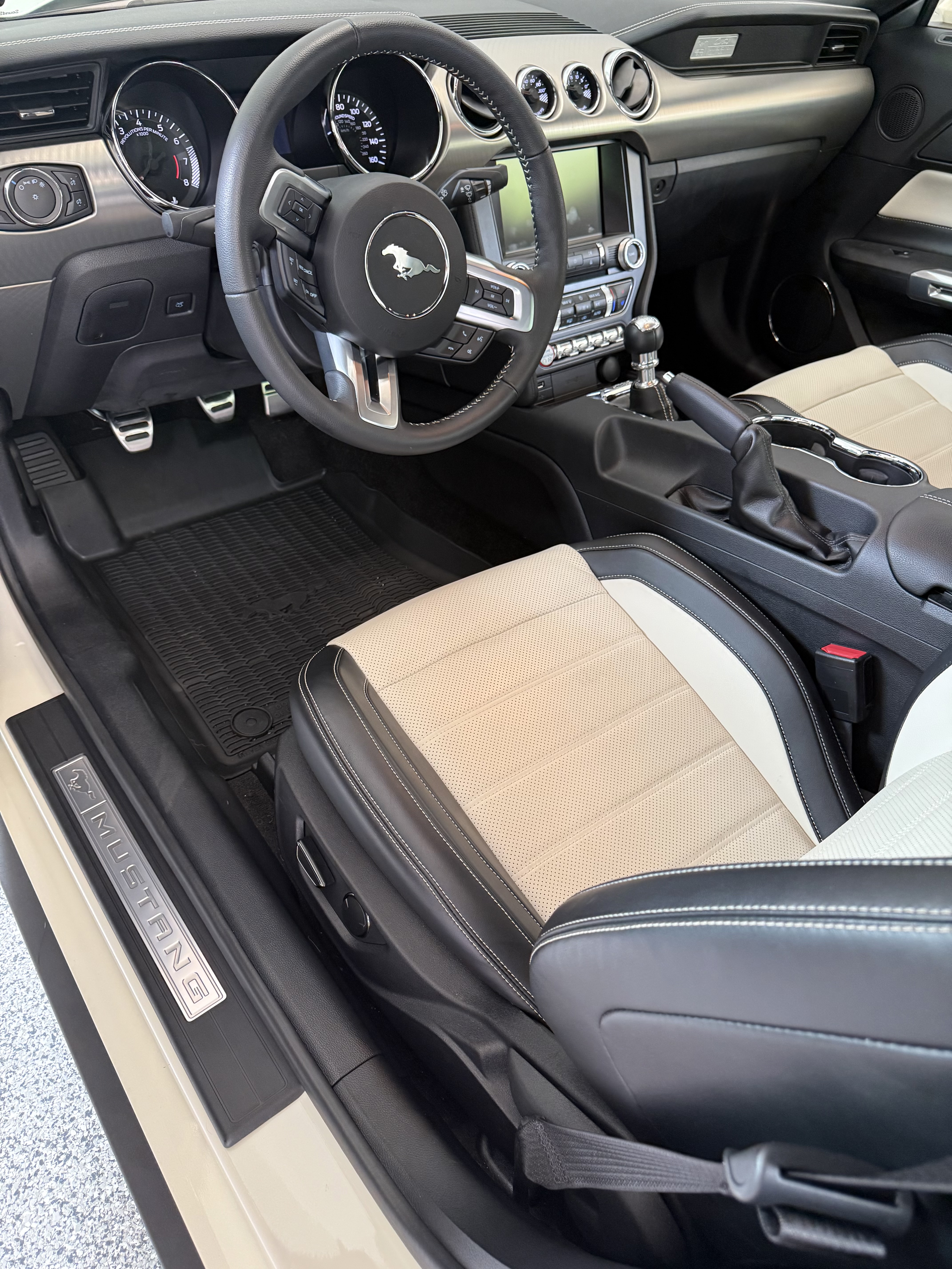 Used 2015 Ford Mustang 50 Years RWD image 15