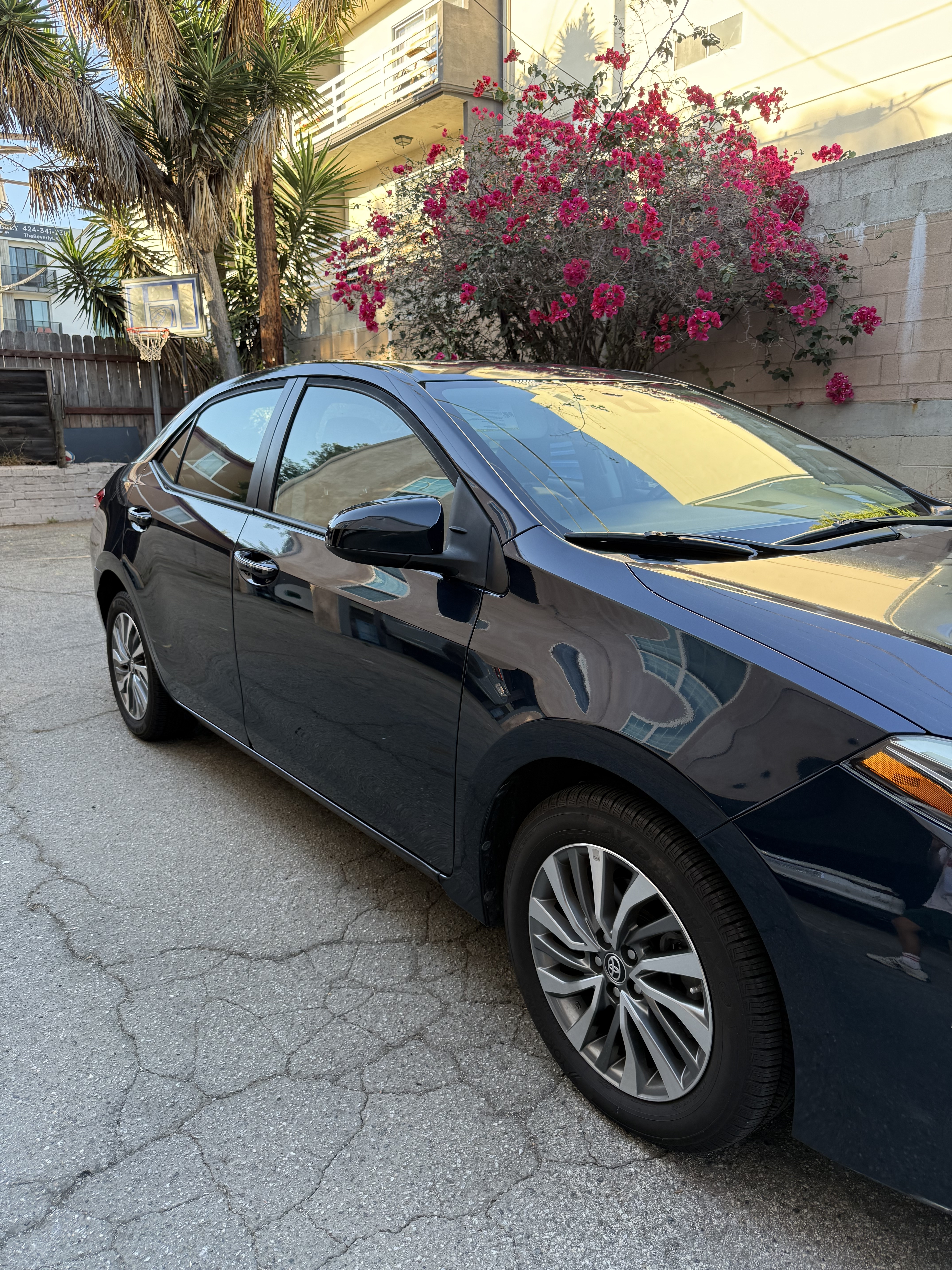 Used 2019 Toyota Corolla XLE w/ Protection Package FWD image 9