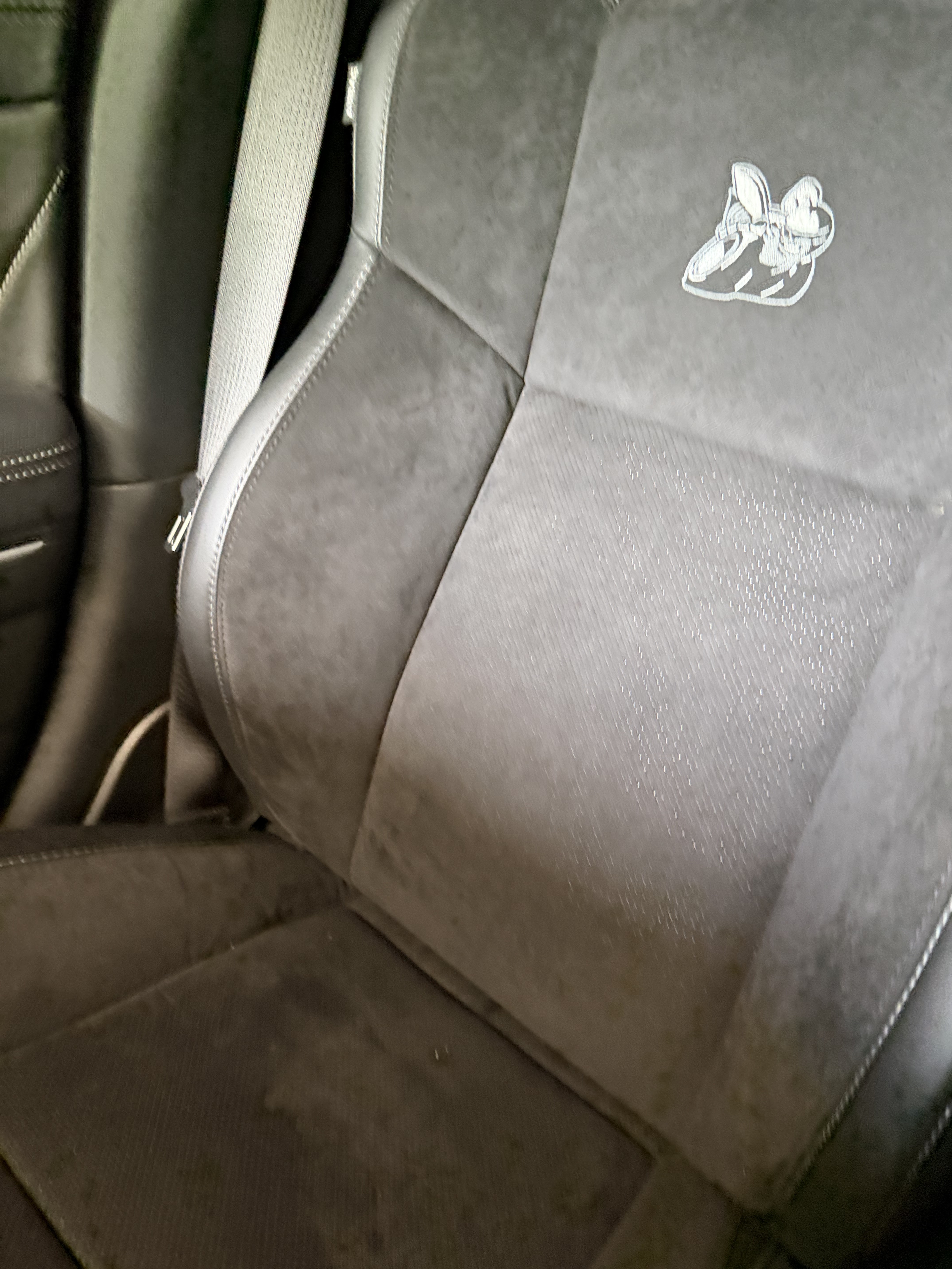 Used 2023 Dodge Charger Scat Pack RWD image 13