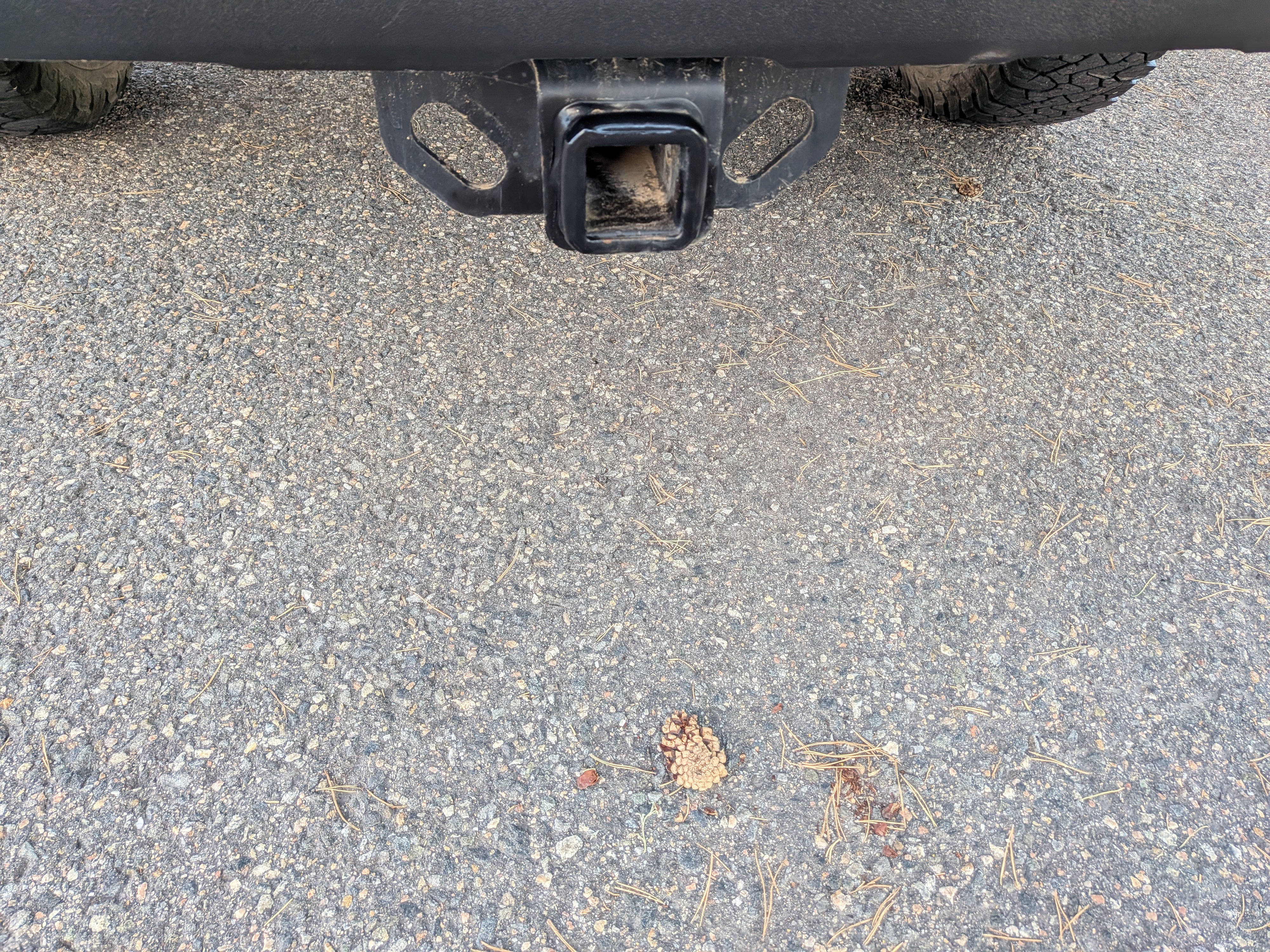 Used 2020 Toyota Tacoma SR AWD/4WD image 10