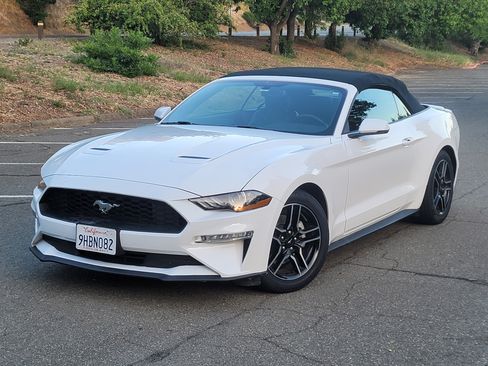 Used 2020 Ford Mustang Premium image 1