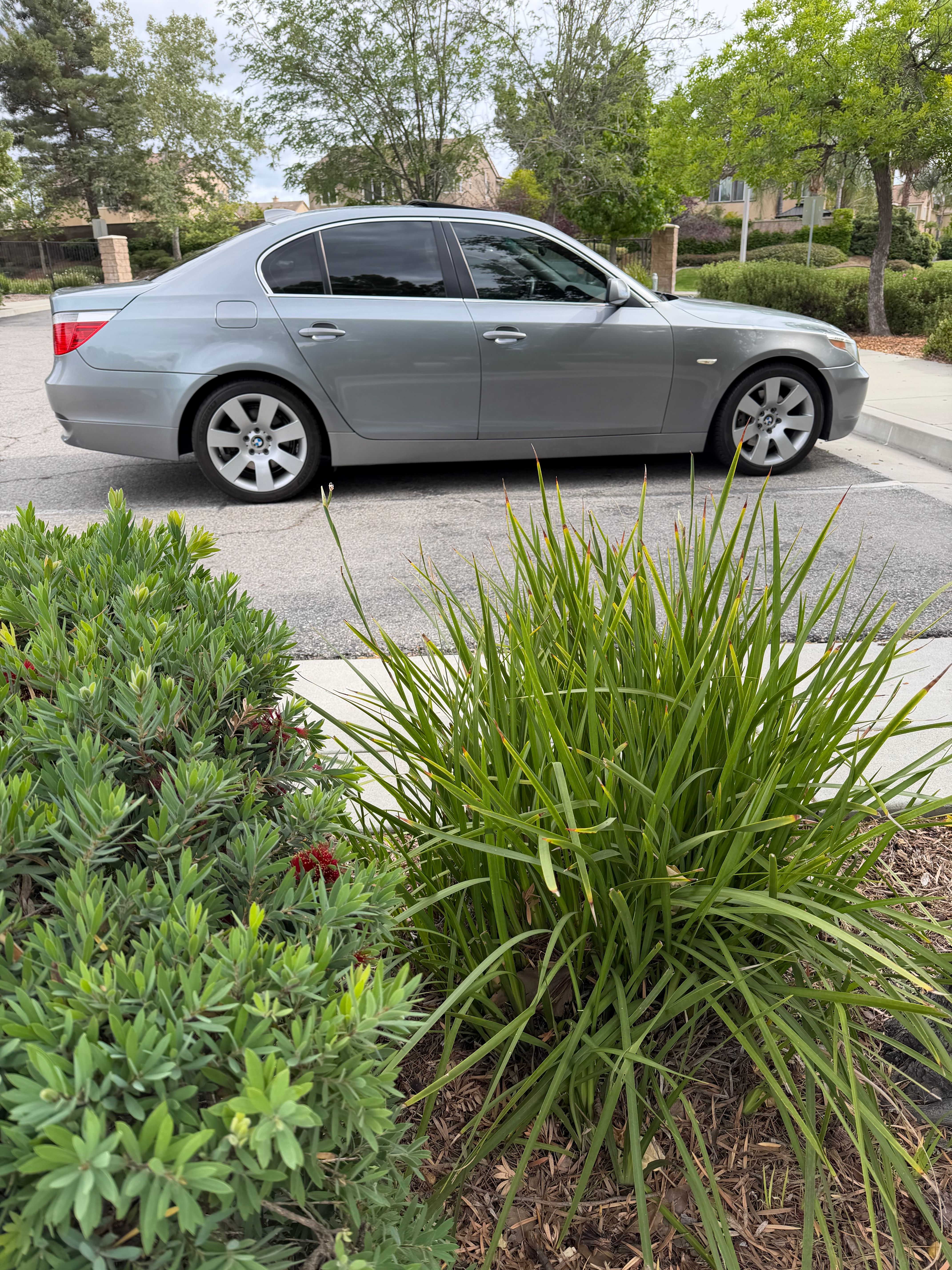 Used 2004 BMW 530i Sedan RWD image 2