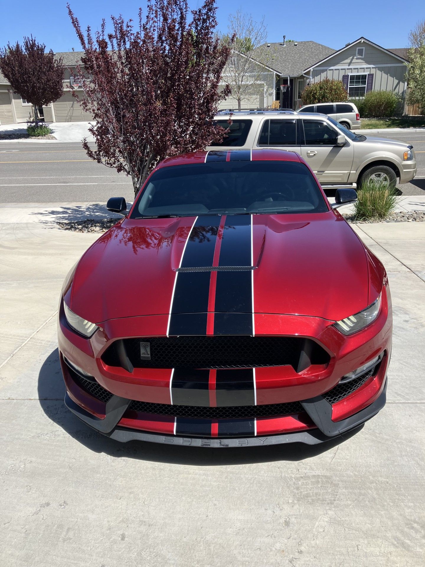 Used 2017 Ford Mustang Shelby GT350 w/ Electronics Package RWD image 4