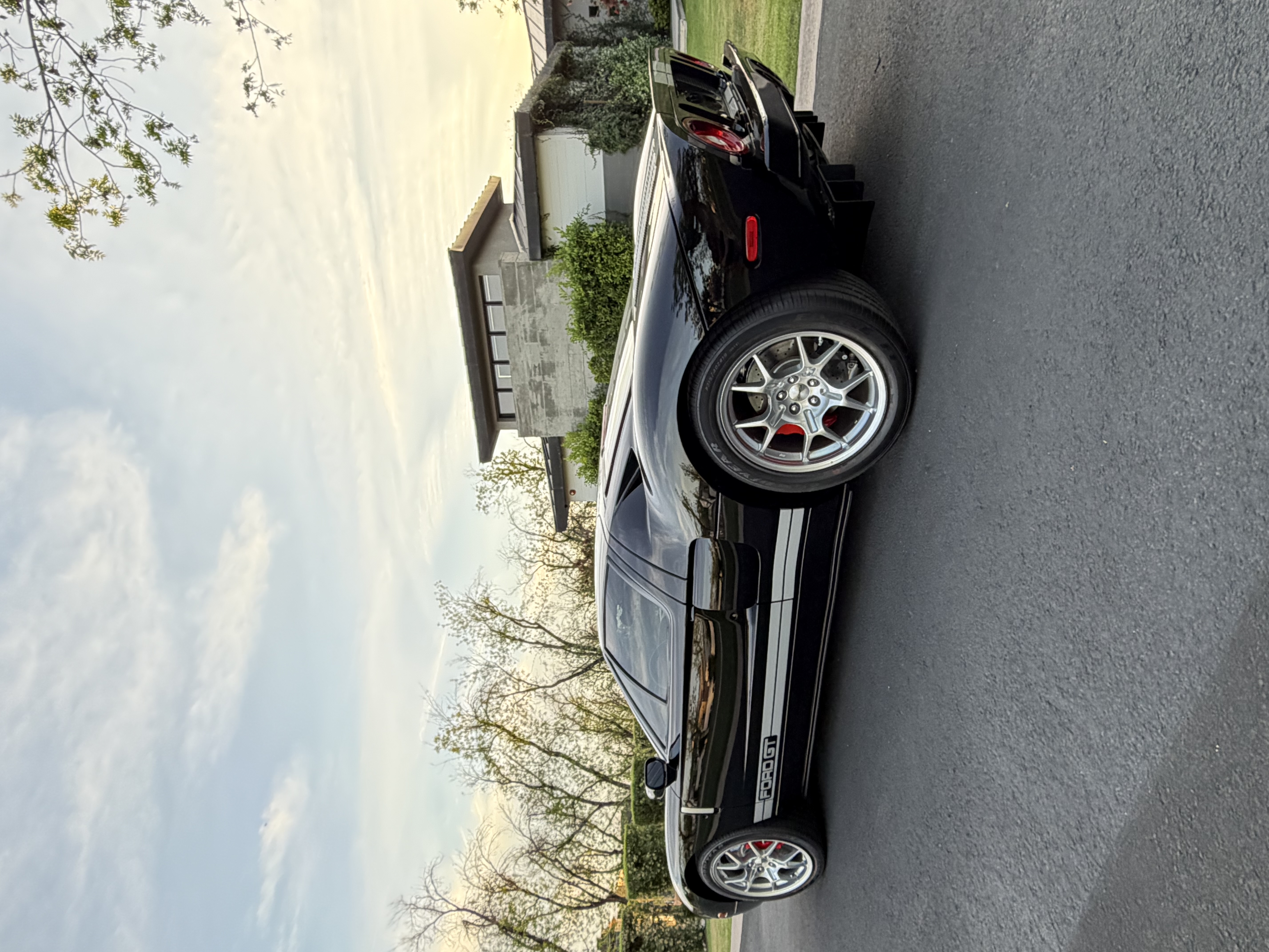 Used 2005 Ford GT RWD image 9