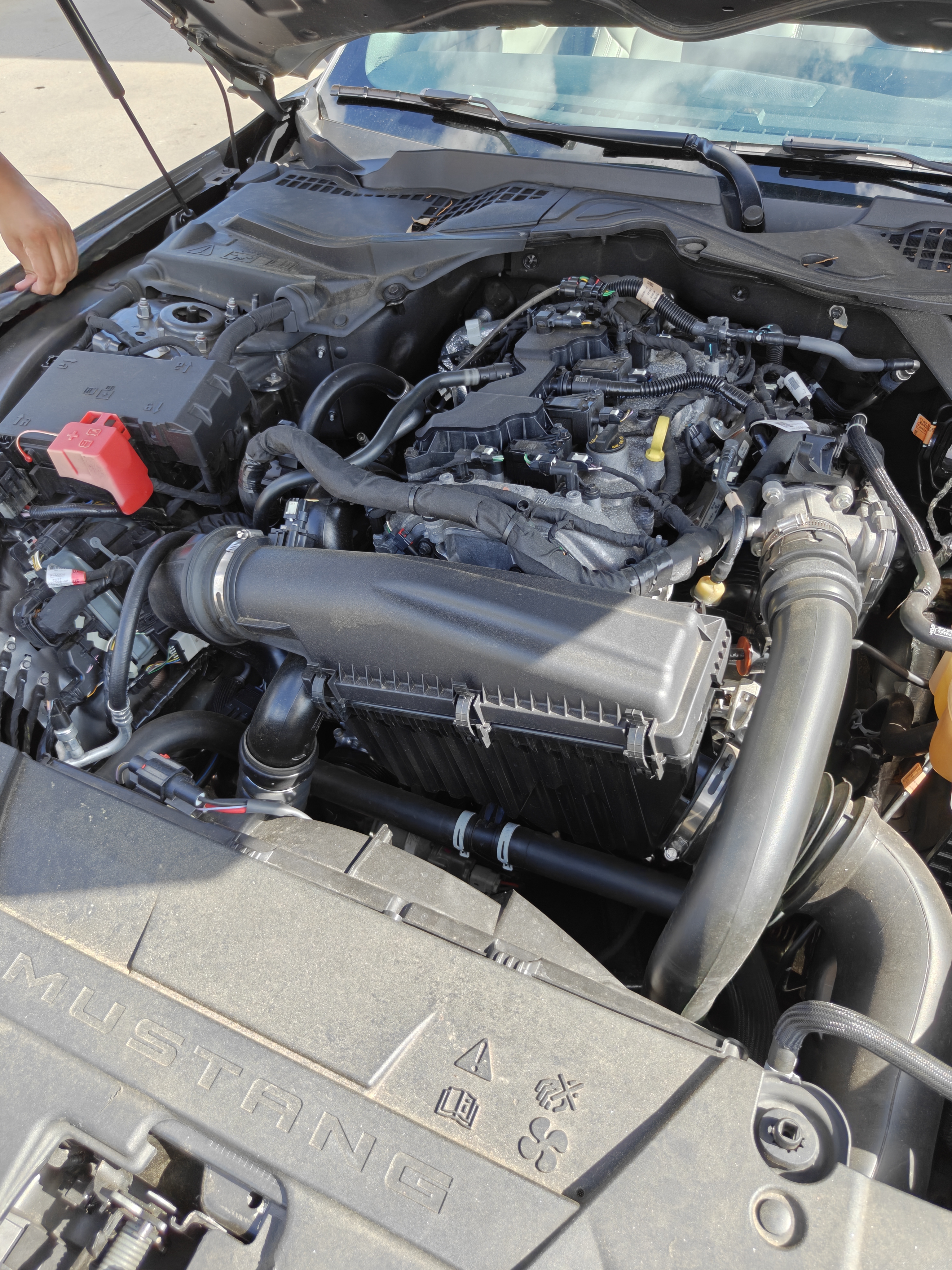 Used 2024 Ford Mustang Premium RWD image 21