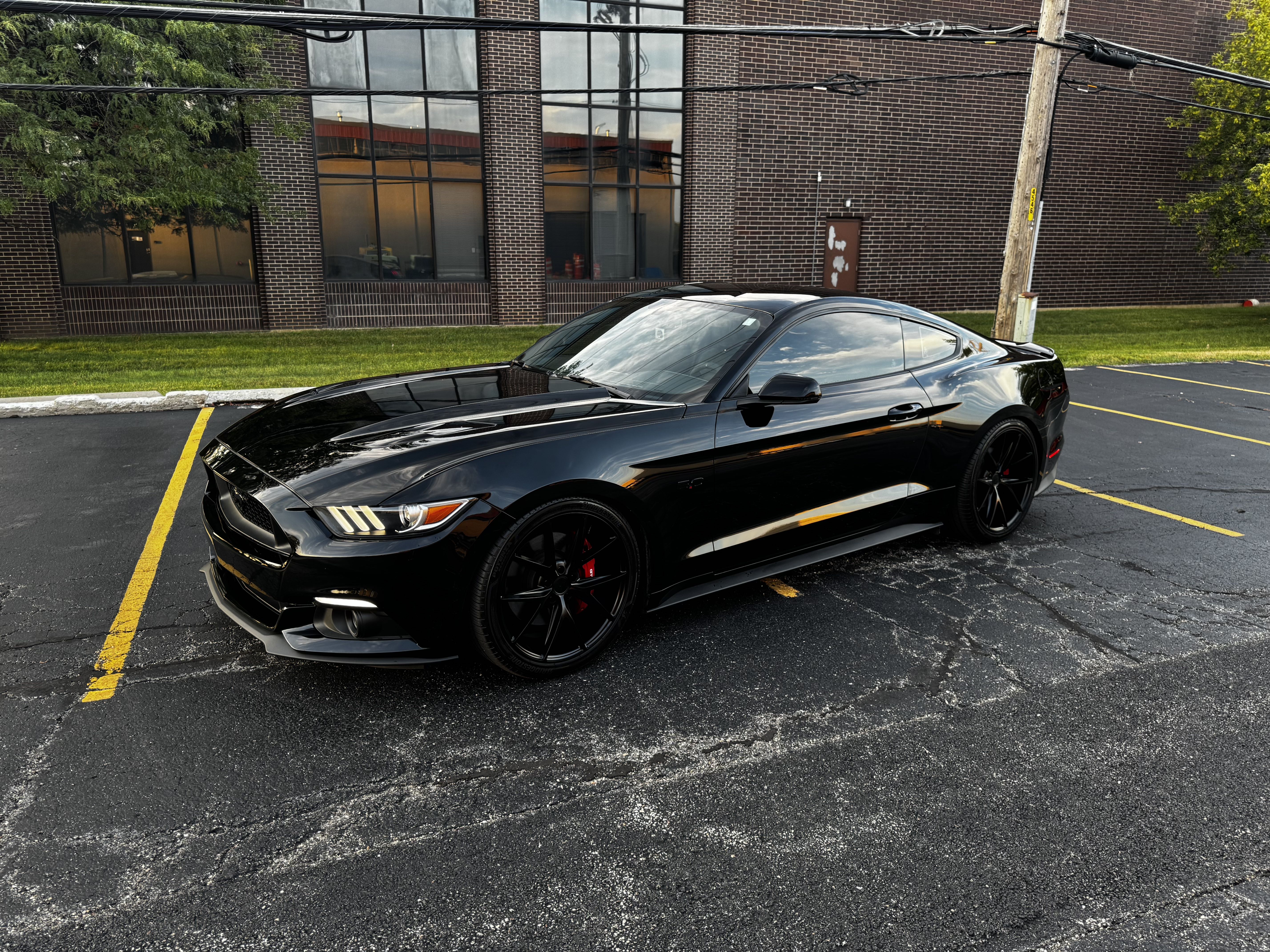 Used 2016 Ford Mustang GT Premium w/ Black Accent Package RWD image 5