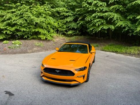 Used 2019 Ford Mustang Premium w/ Equipment Group 201A RWD image 13