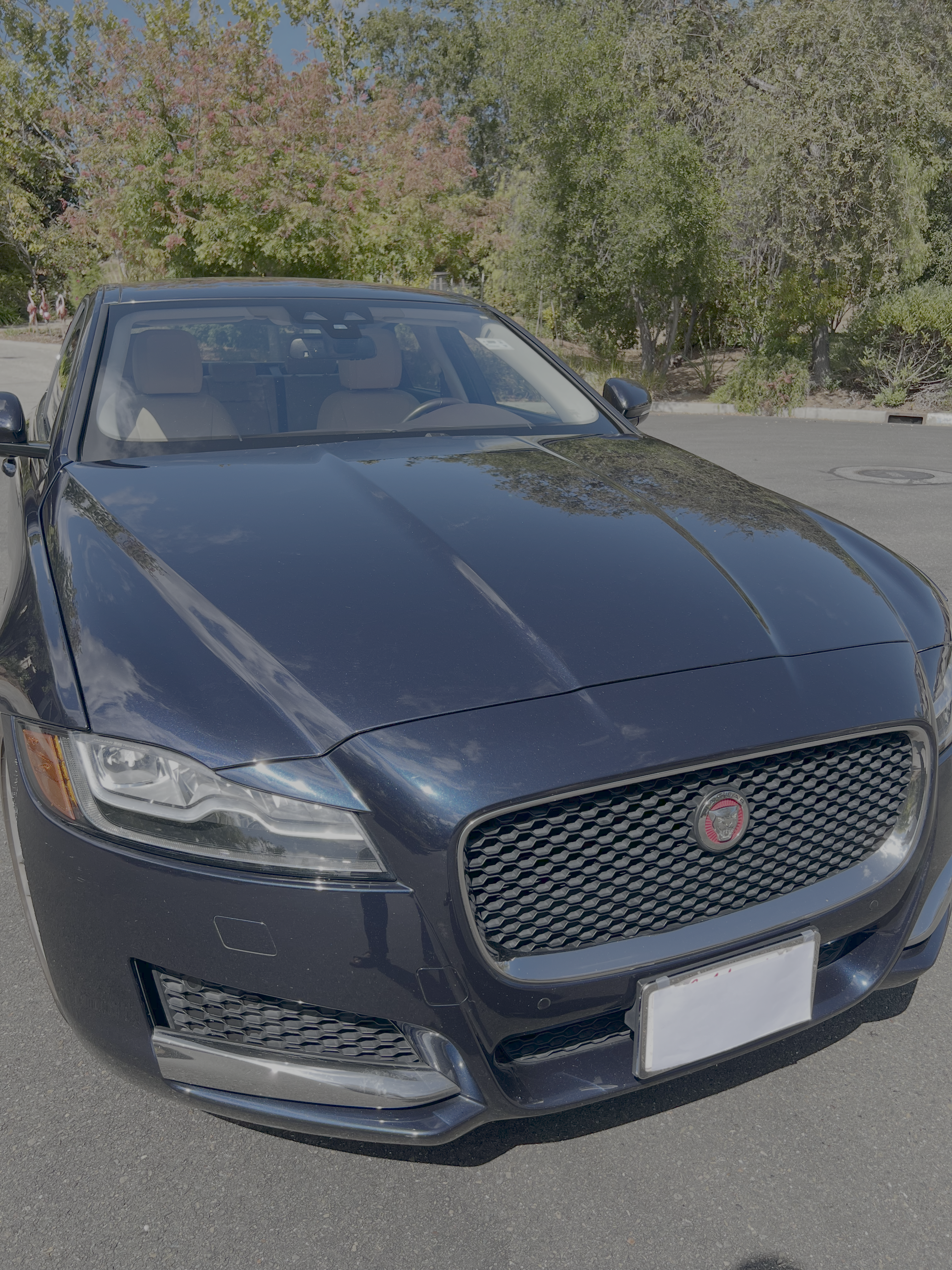 Used 2017 Jaguar XF Prestige AWD/4WD image 11