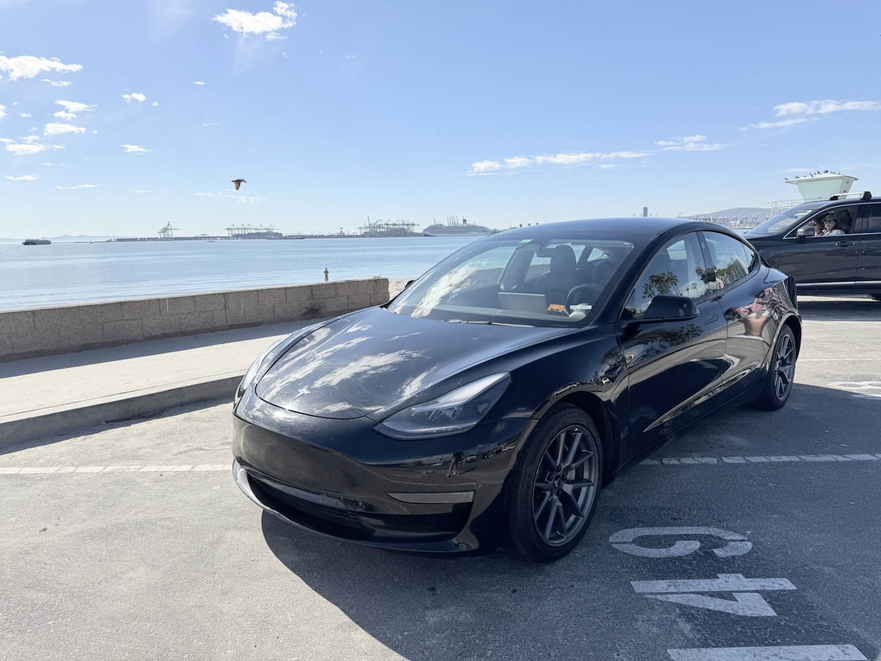Used 2022 Tesla Model 3 RWD image 14