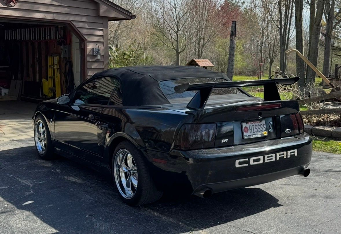 Used 2004 Ford Mustang Cobra RWD image 6