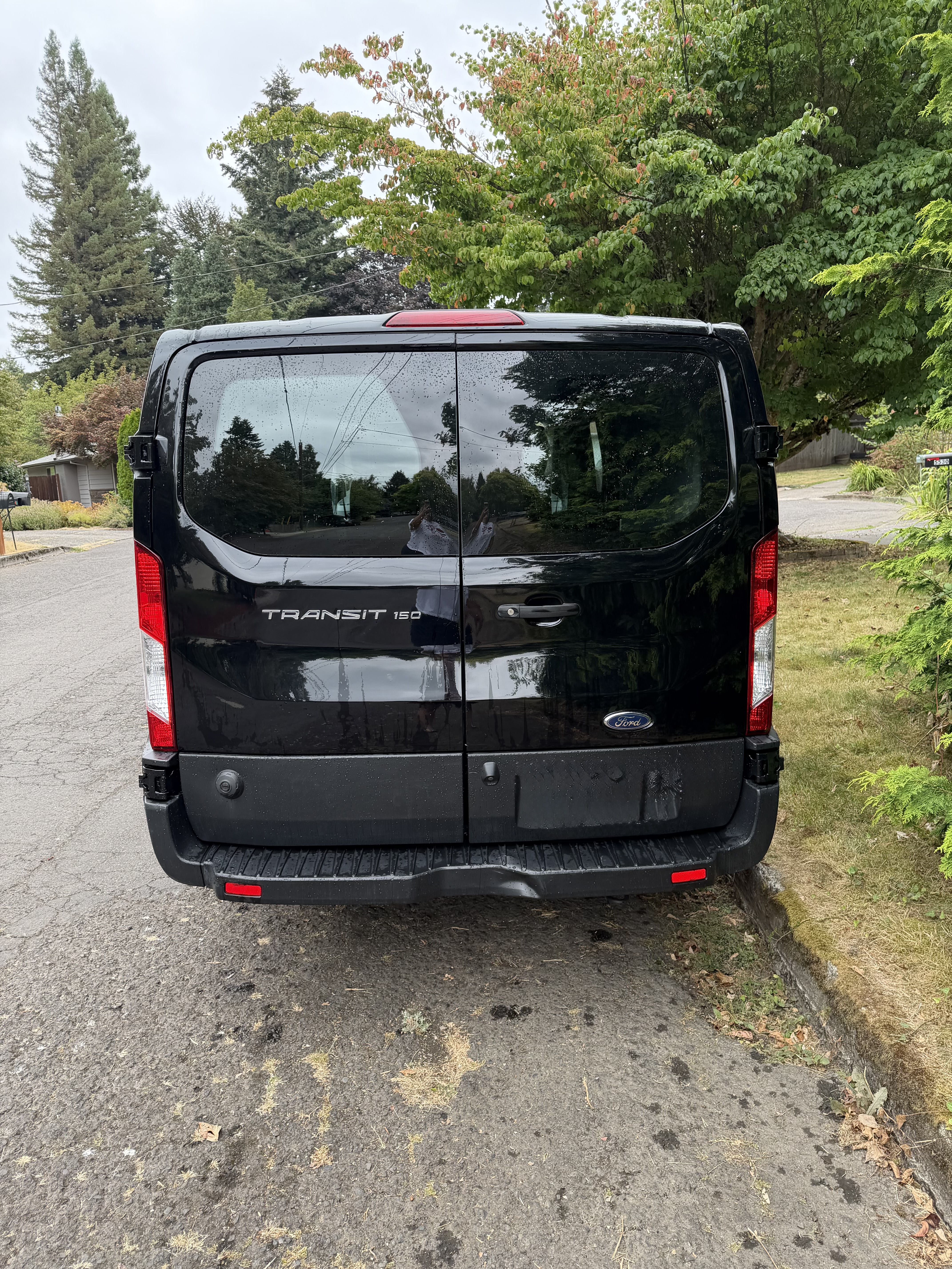 Used 2019 Ford Transit 150 148 Low Roof RWD image 4