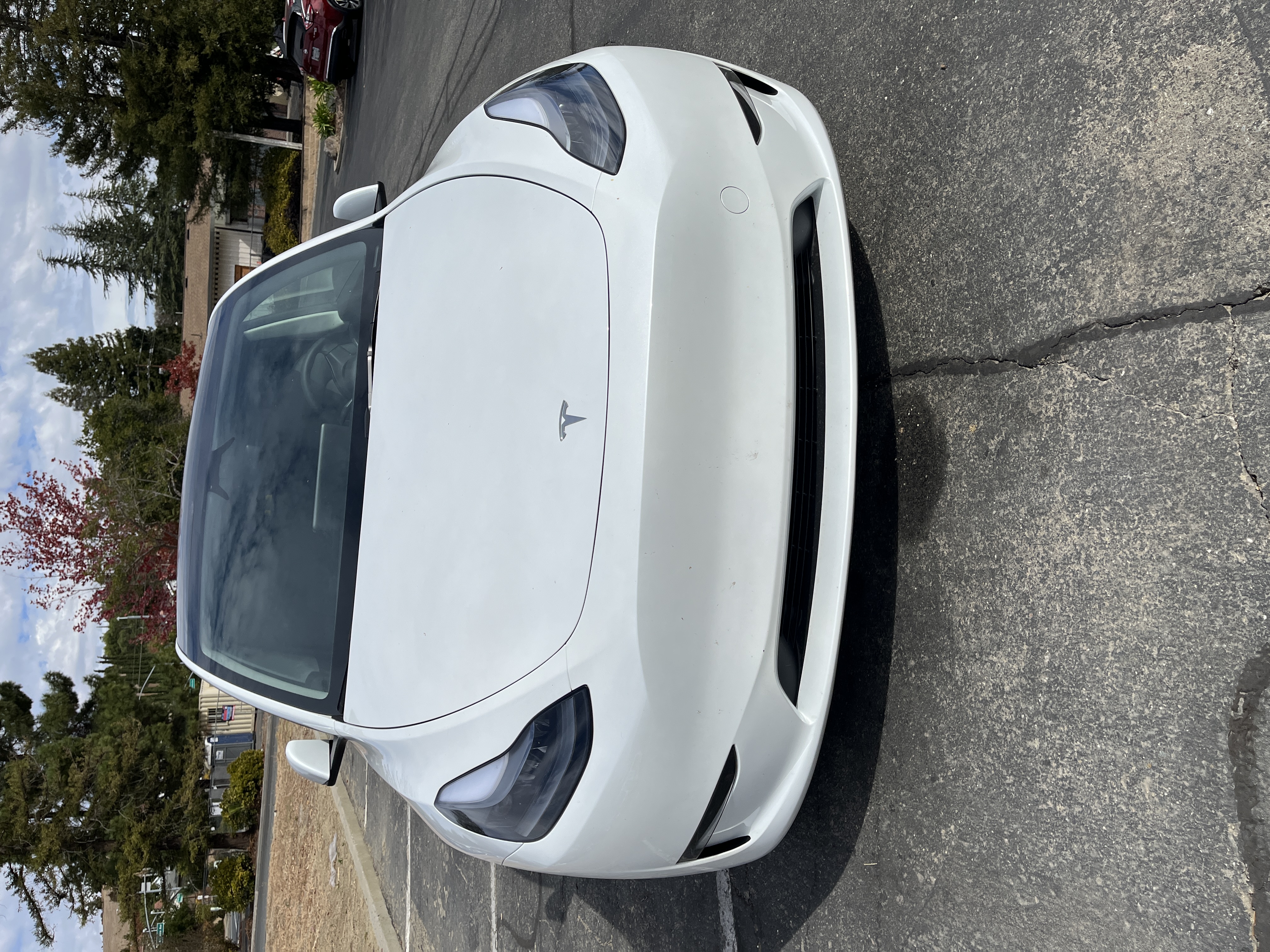 Used 2024 Tesla Model Y Long Range RWD image 1