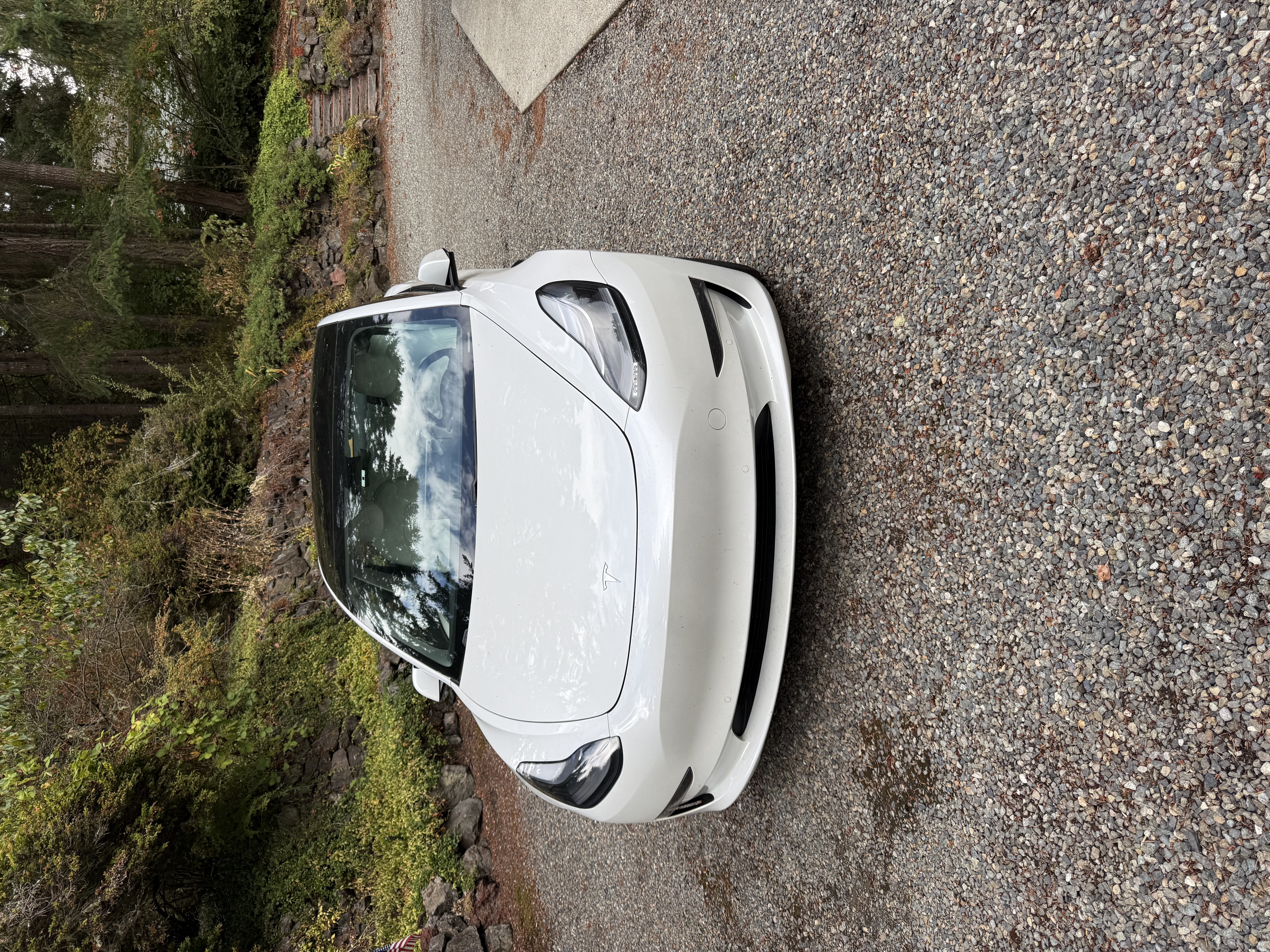 Used 2021 Tesla Model 3 Long Range AWD/4WD image 1