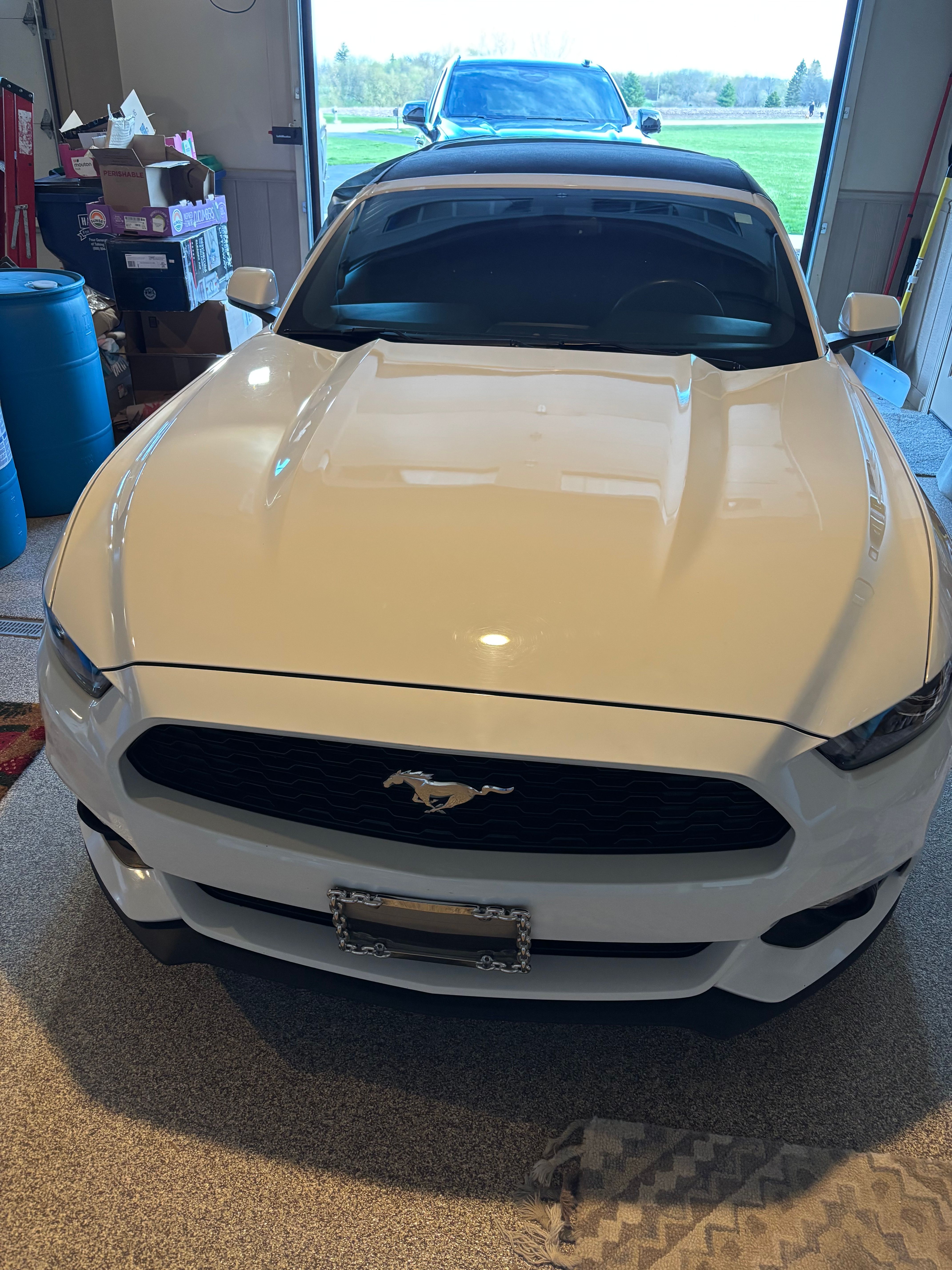 Used 2016 Ford Mustang Convertible w/ Equipment Group 051A RWD image 2