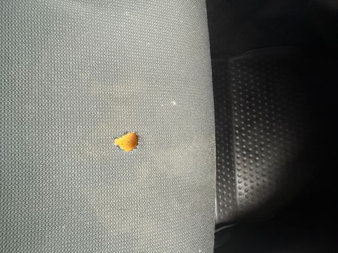 Used 2024 Toyota Corolla LE image 6