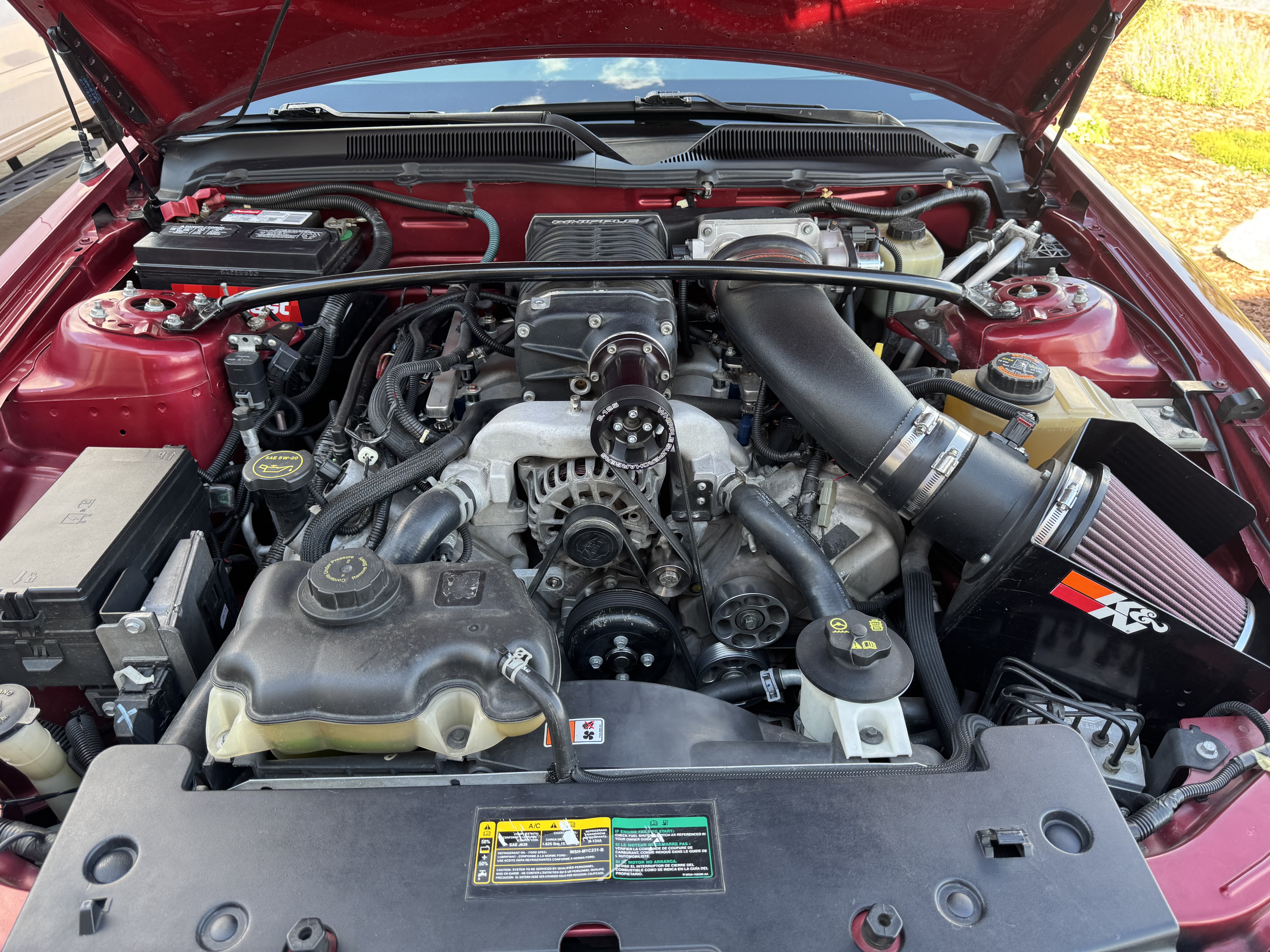 Used 2005 Ford Mustang GT Premium RWD image 8
