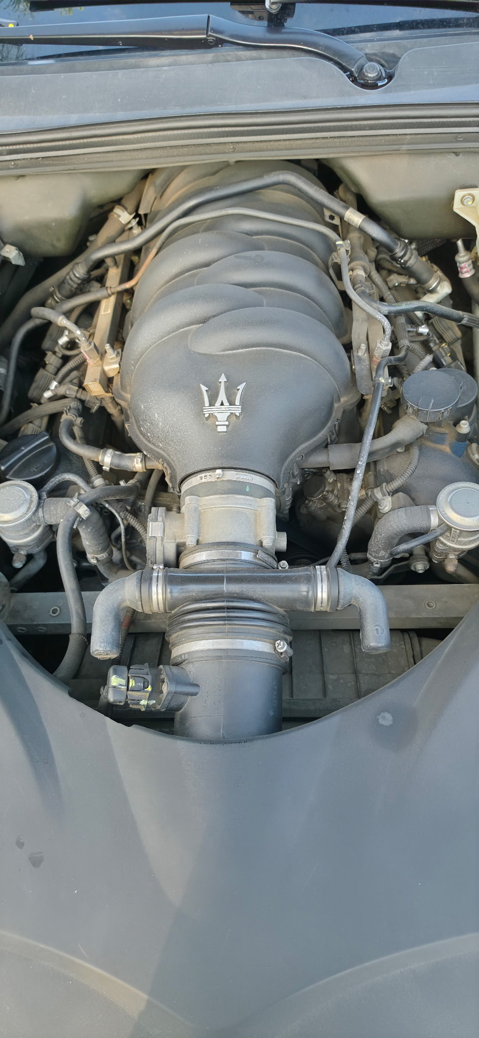Used 2008 Maserati Quattroporte Executive GT RWD image 6