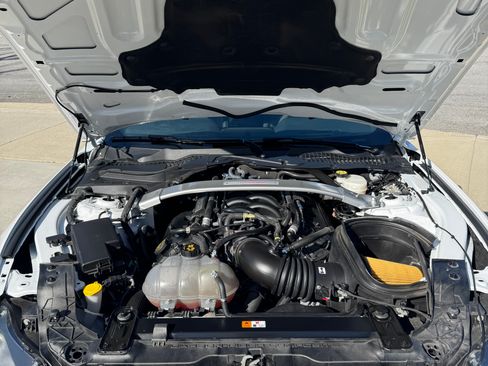 Used 2019 Ford Mustang Shelby GT350 w/ Technology Package image 8